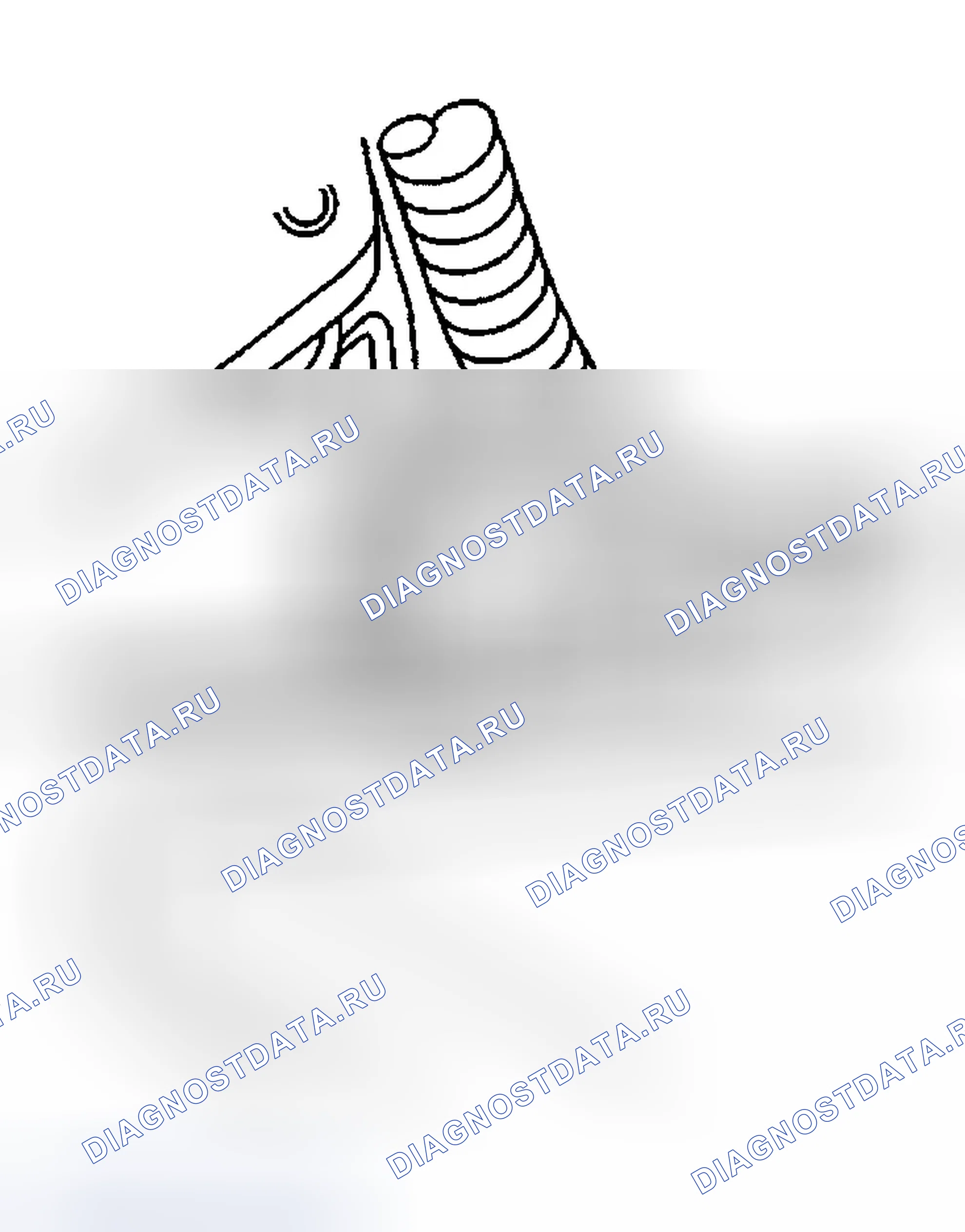 Рис. 20. Chevrolet TrailBlazer I