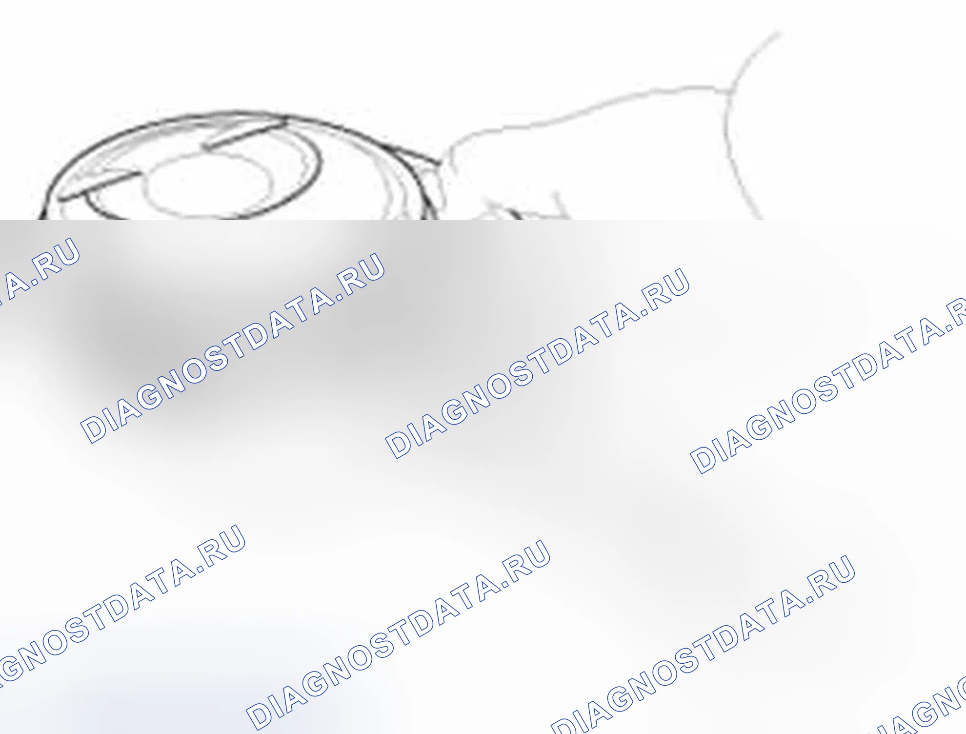Рис. 852: Поршень и кольца. Hyundai Sonata VI