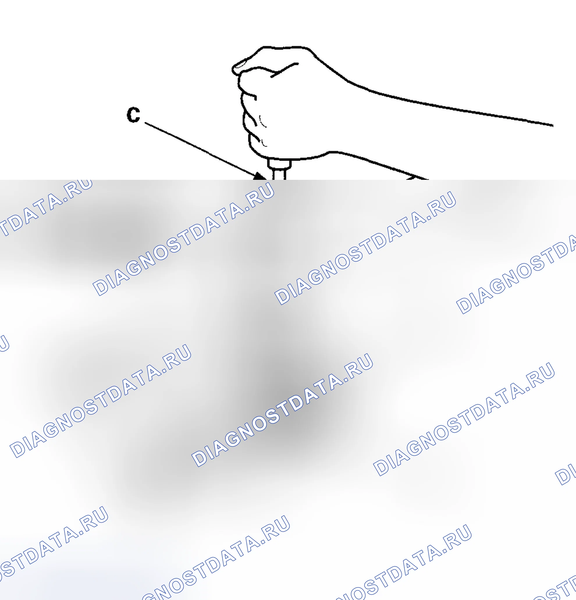 Рис. 212. Honda Element YH2