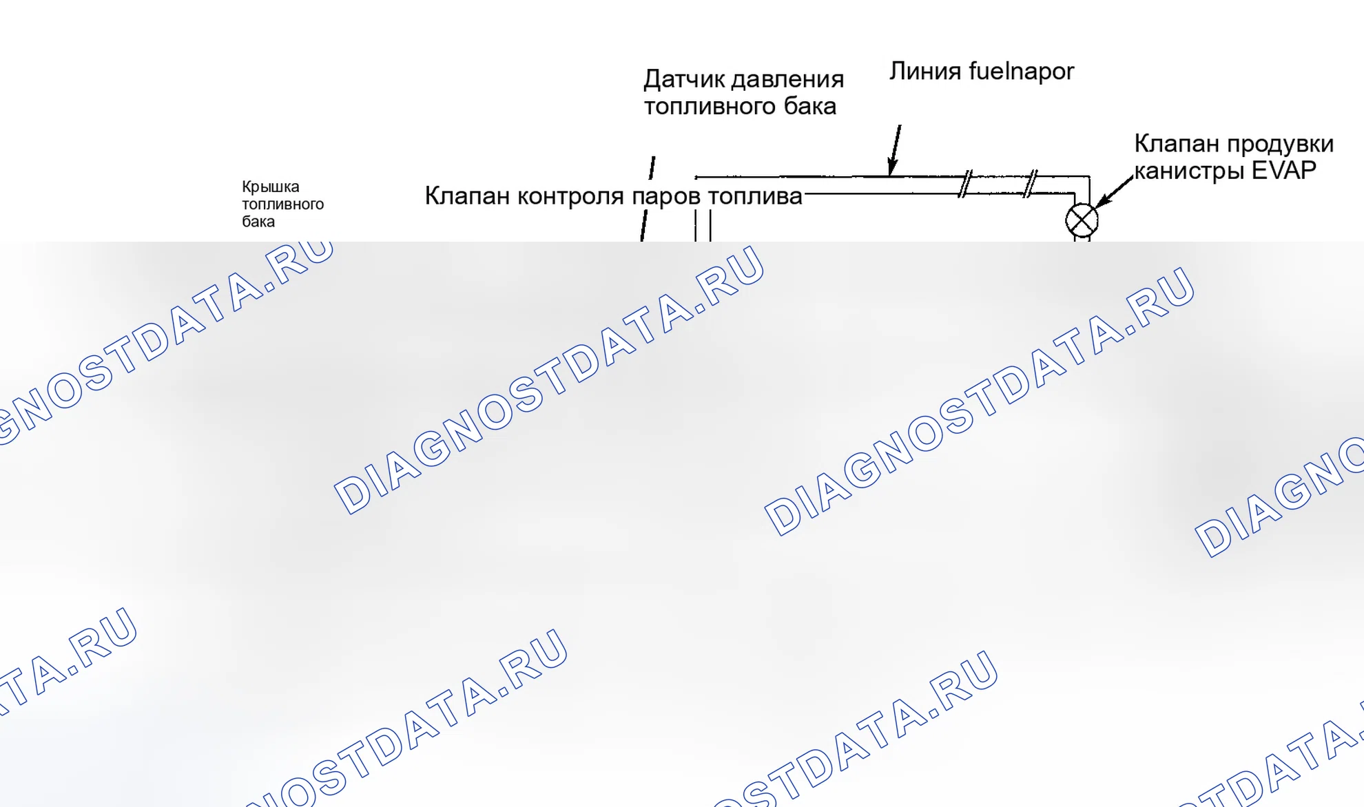 Рис. 71. Ford Escape I