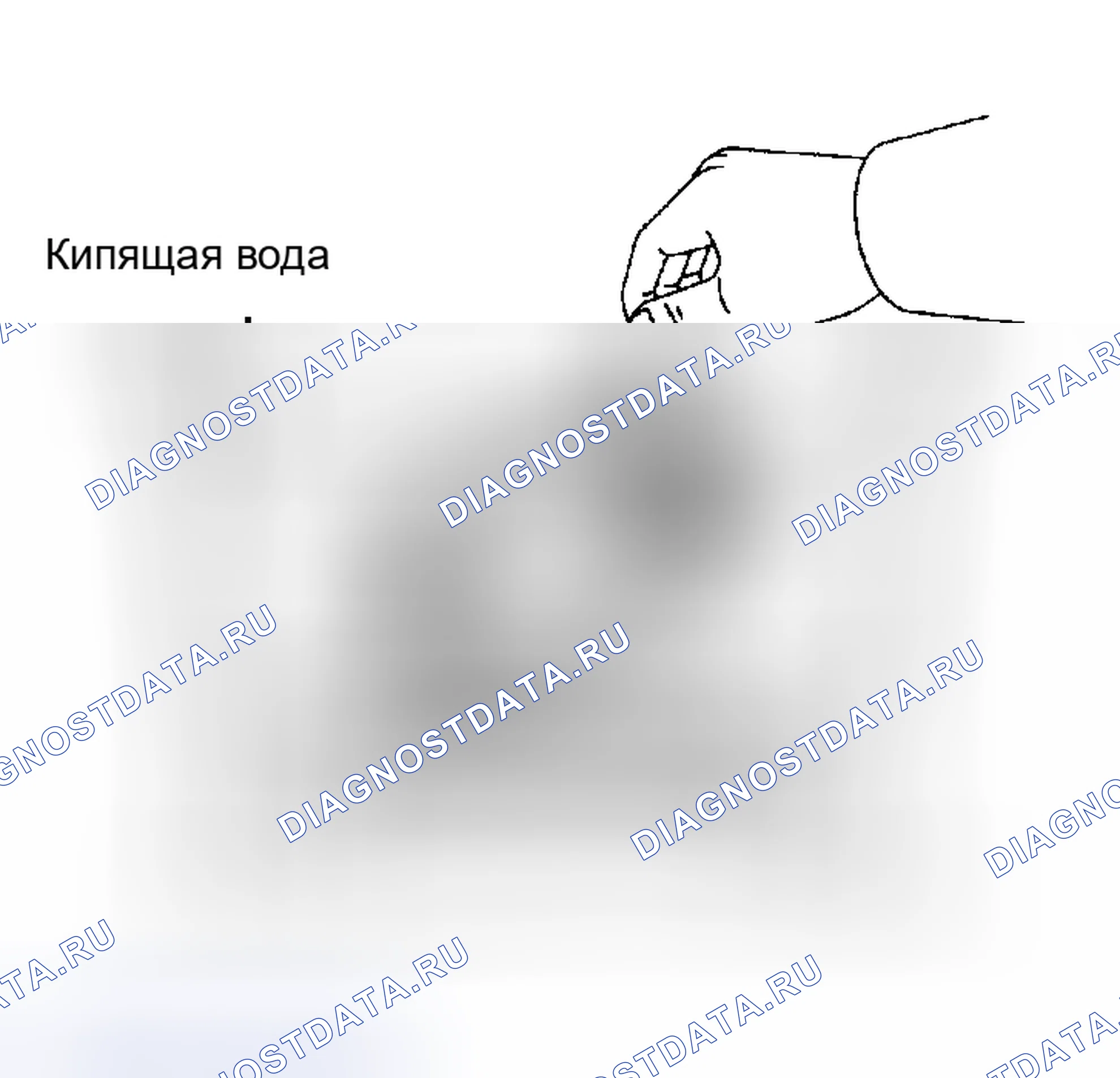 Рис. 51. Honda Accord VIII рестайлинг