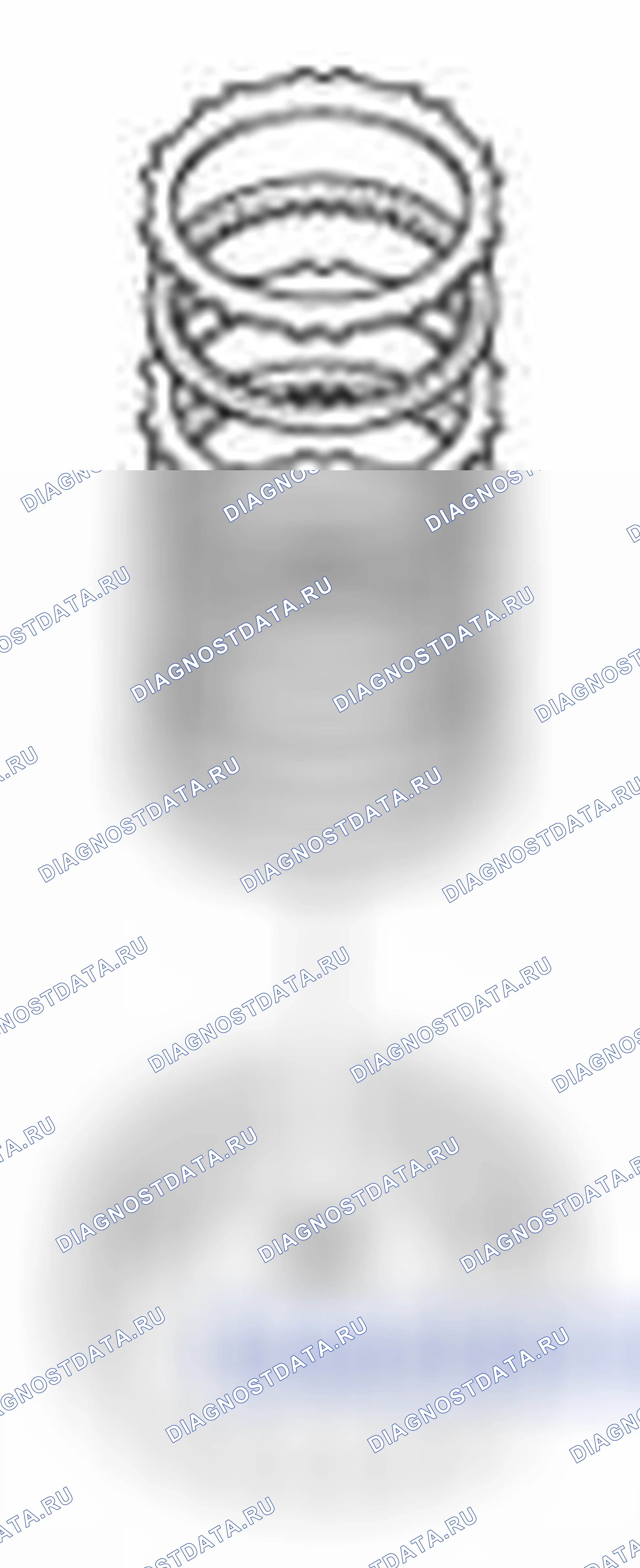 Рис. 1261. Kia Forte I