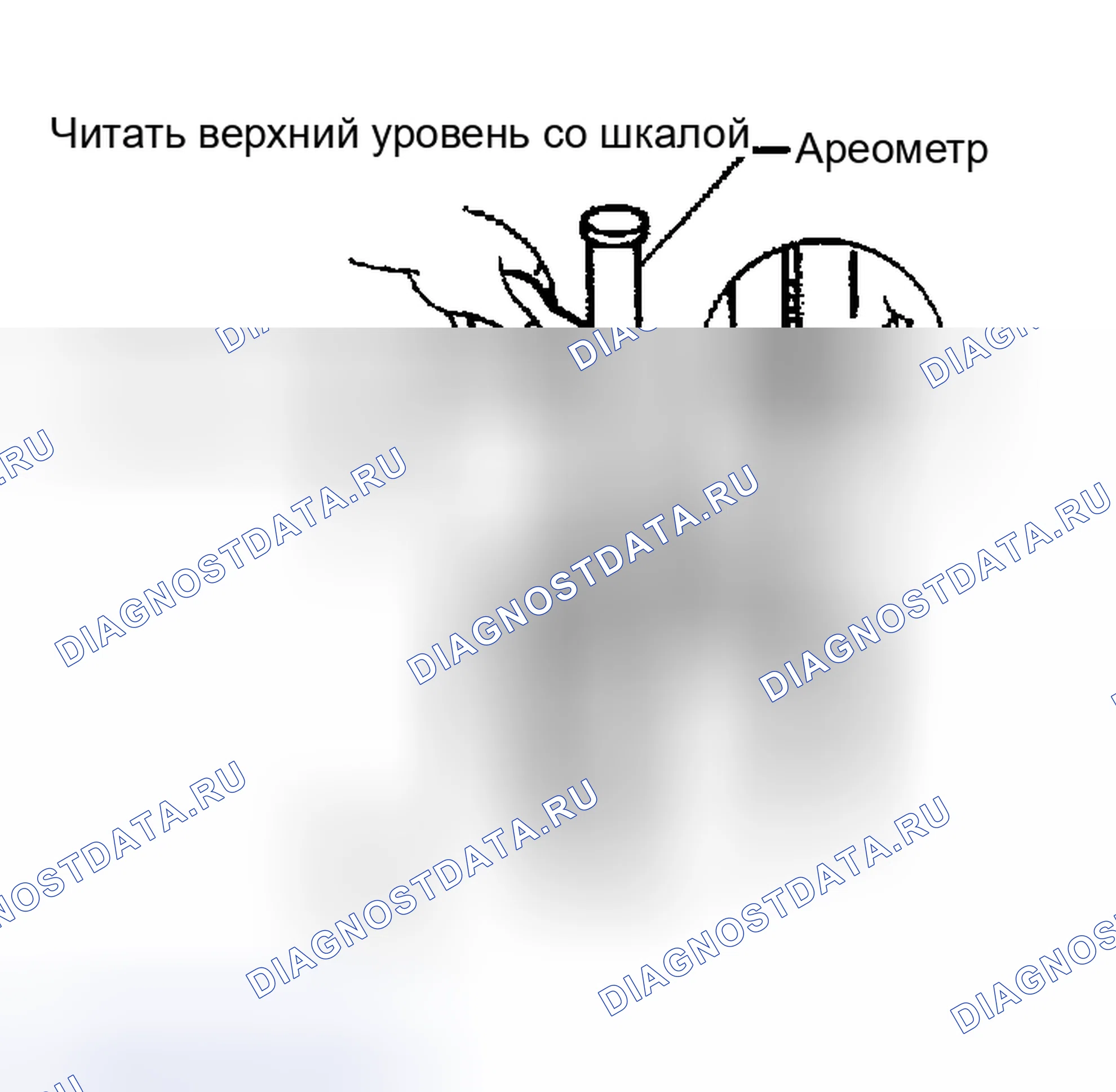 Рис. 14: Проверка удельного веса. Nissan Maxima A33
