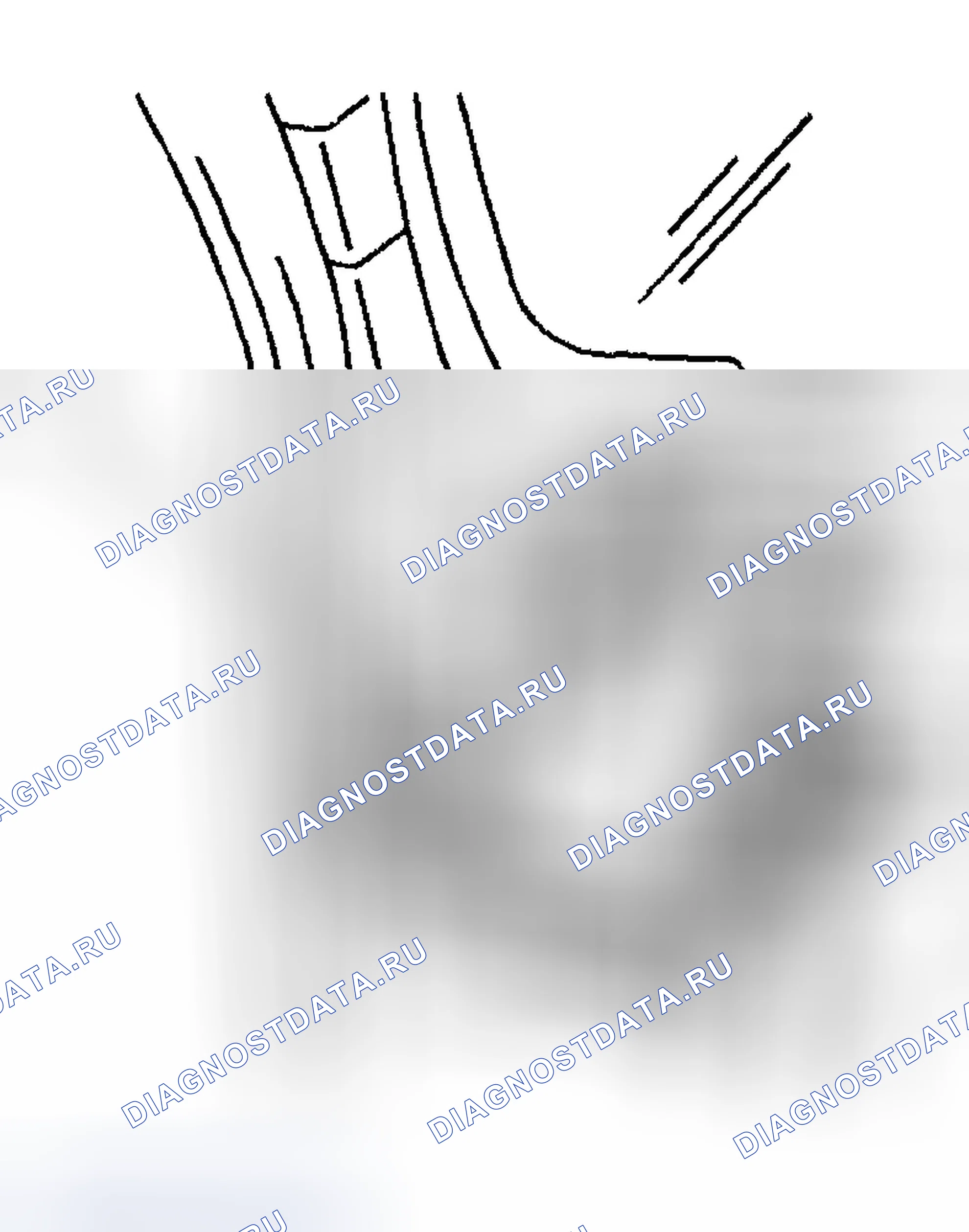 Рис. 126. Chevrolet TrailBlazer I