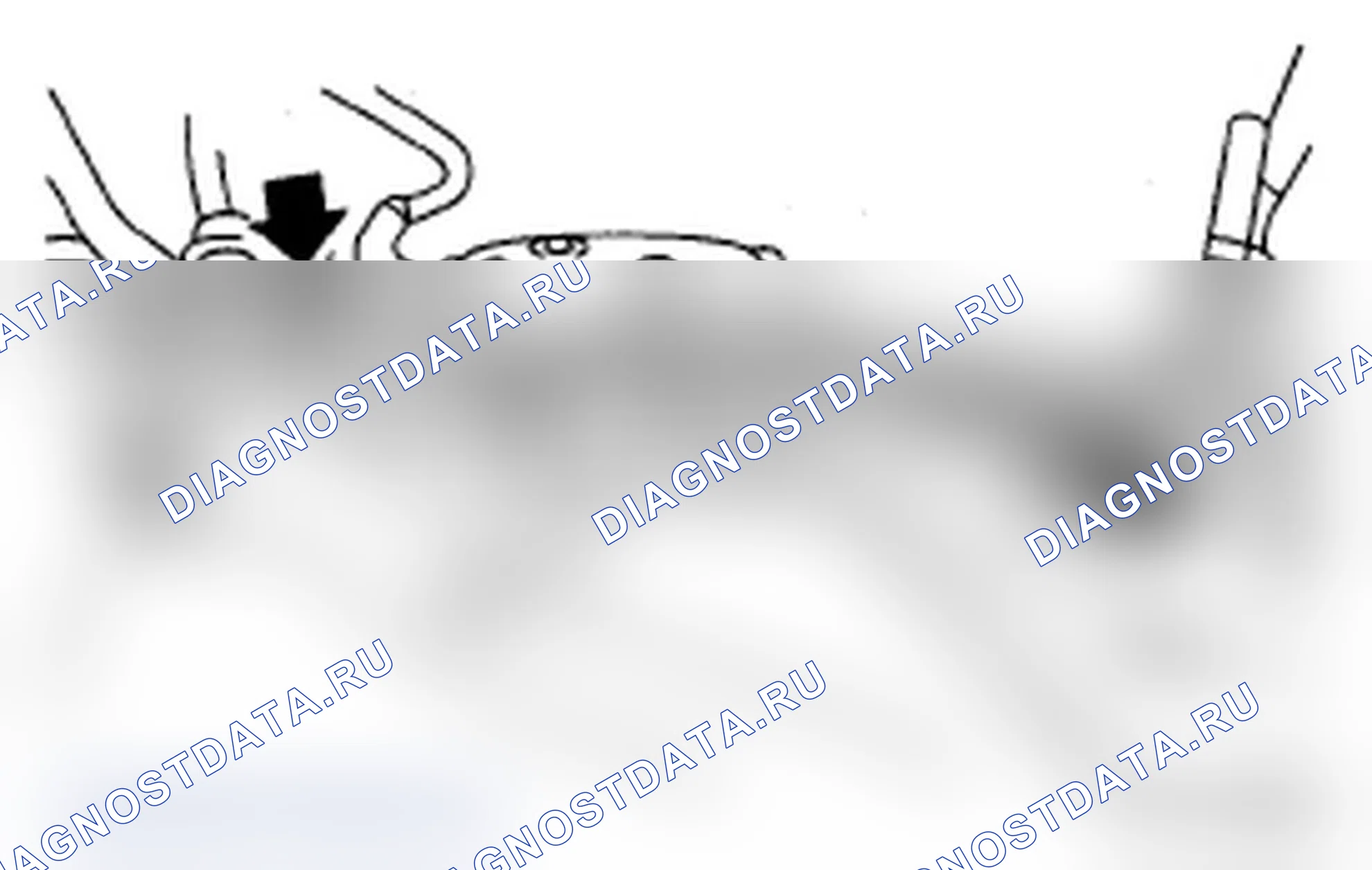 Рис. 448. Subaru Impreza WRX GD/GG рестайлинг 2