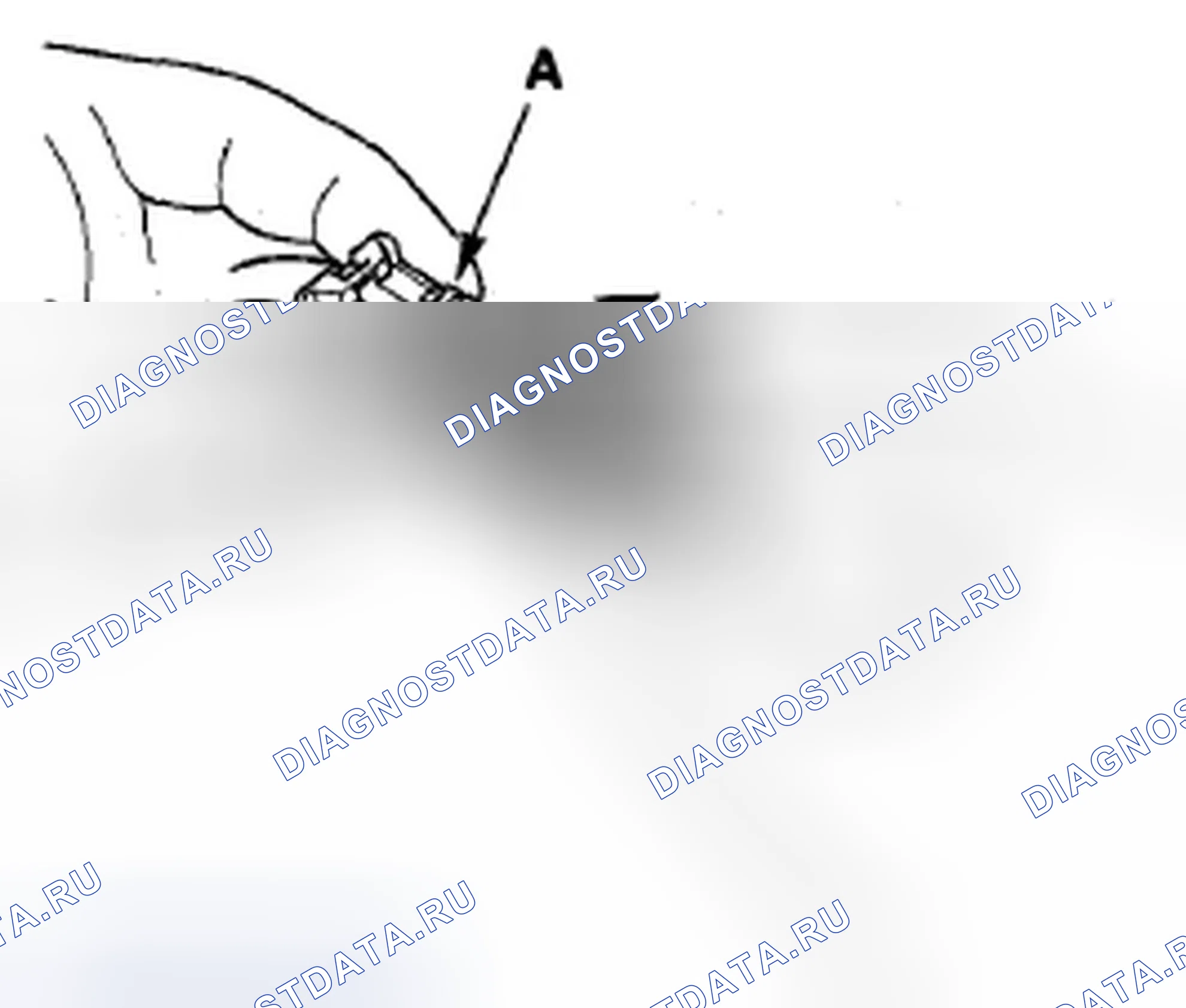 Рис. 227: Подключение. Honda S2000 I