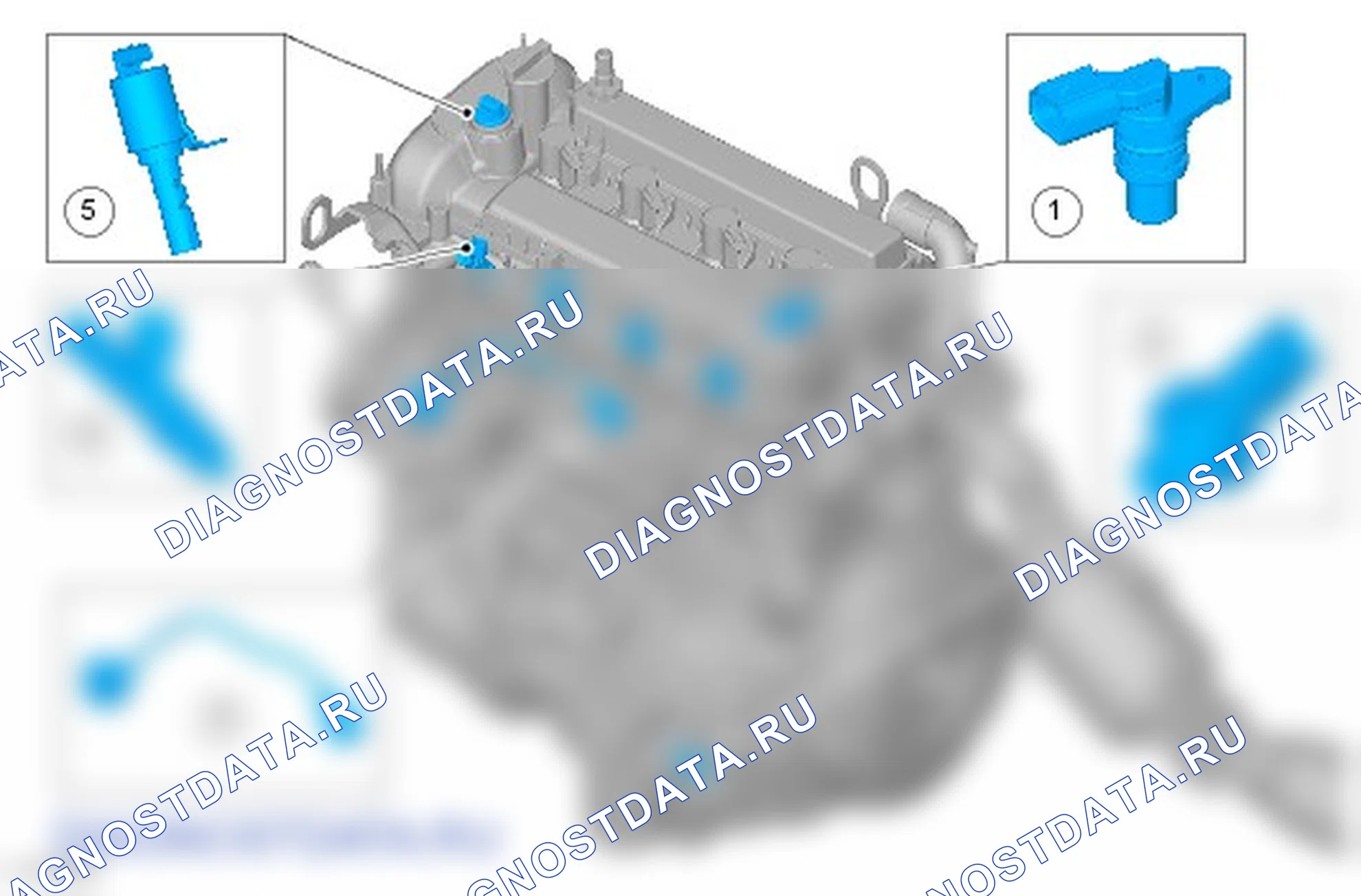 Электронные органы управления: описание и работа. Ford Ranger T6