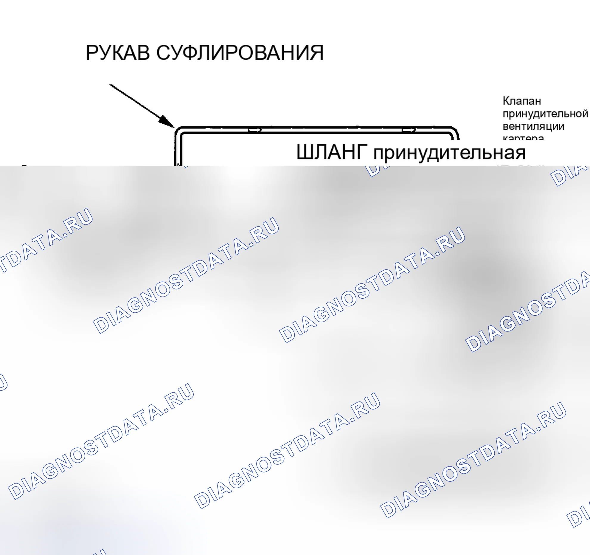 Рис. 51: Система принудительной вентиляции картера (принудительная вентиляция картера (PCV) (принудительная вентиляция картера)). Honda Insight I