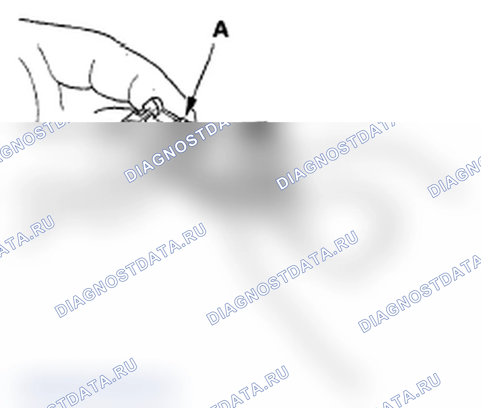 Рис. 18: Подключение. Acura RDX I