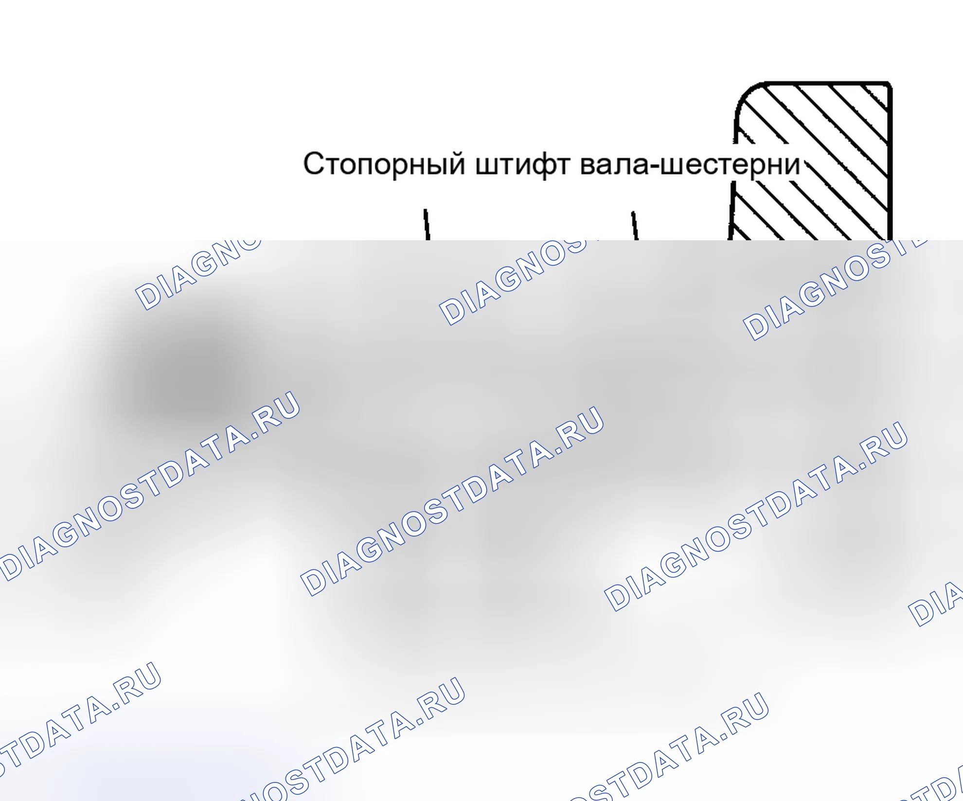 Рис. 253. Haval Chitu I