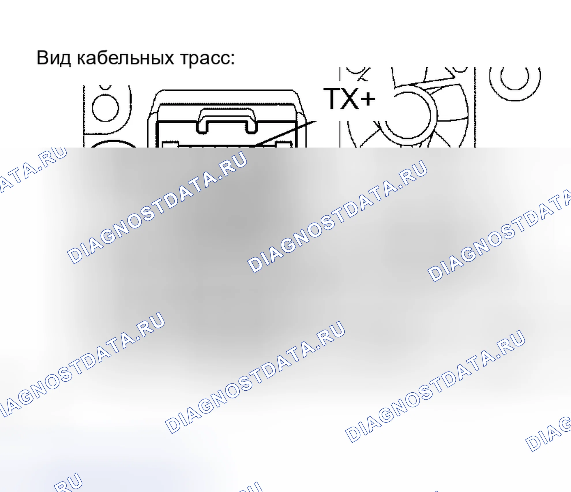 Рис. 195: ПРОЦЕДУРА КОНТРОЛЯ. Haval H5 I