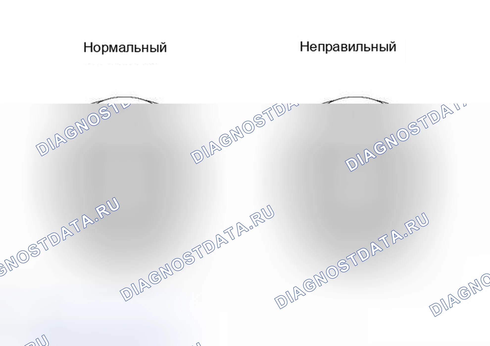 Рис. 4. Toyota Land Cruiser 100 рестайлинг 2