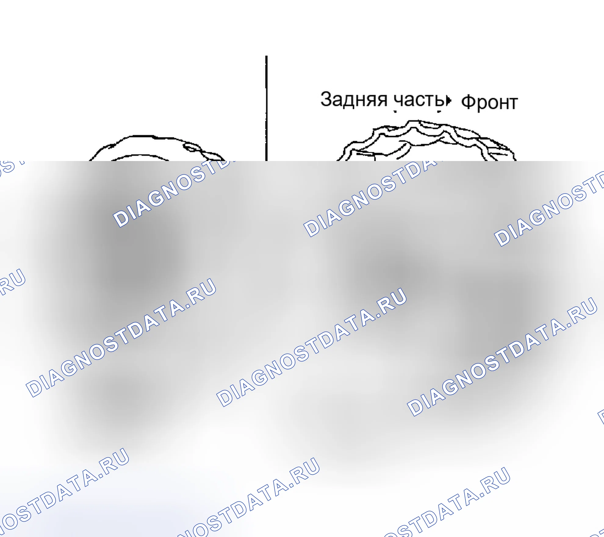 Рис. 1259. Honda Odyssey (North America) I