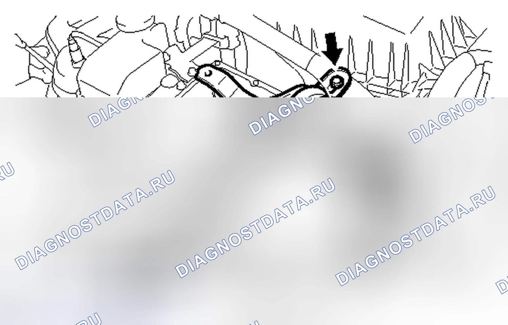 Рис. 248. Honda Accord V