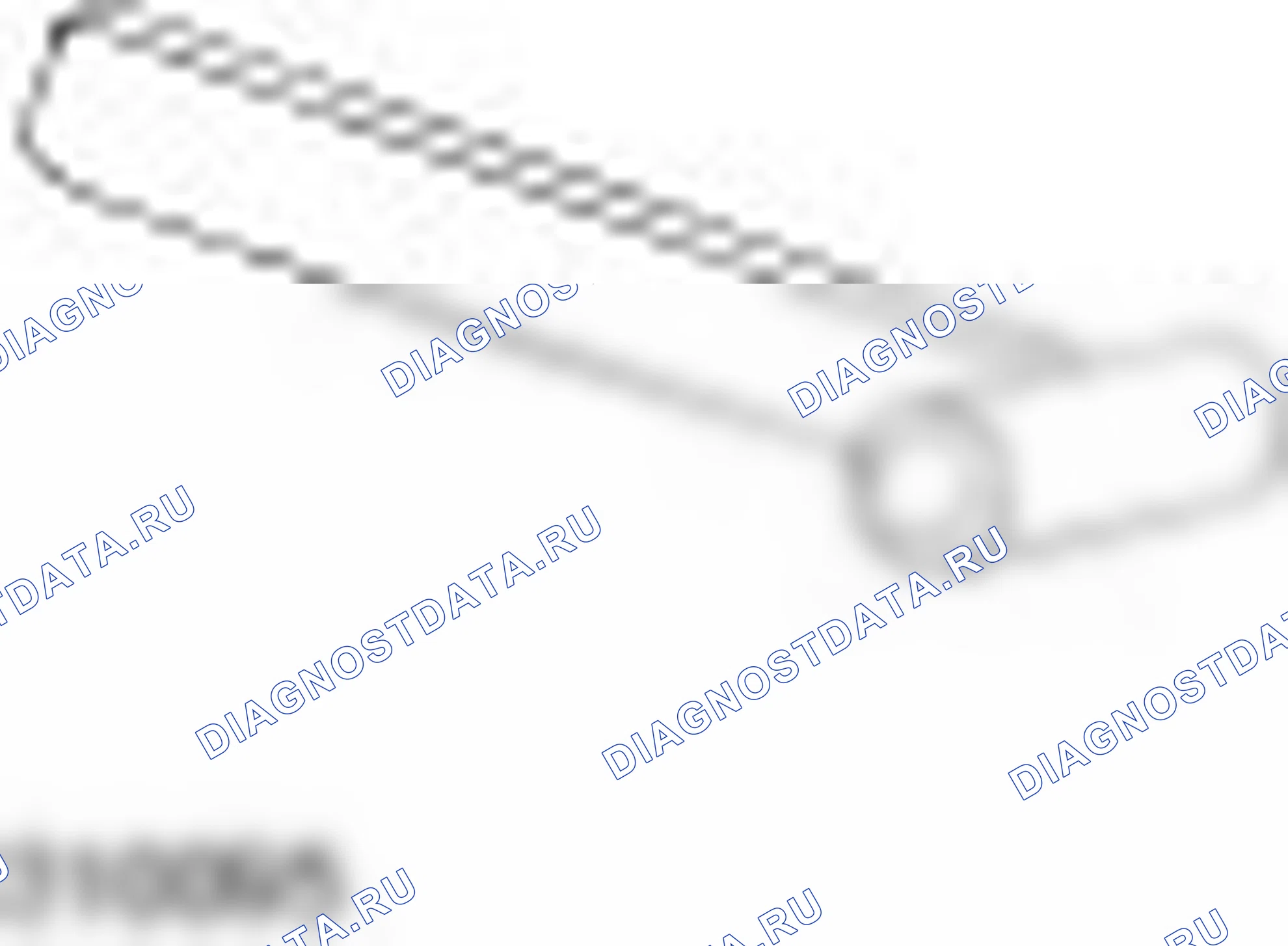 310-095 (23-067). Ford Transit Connect I