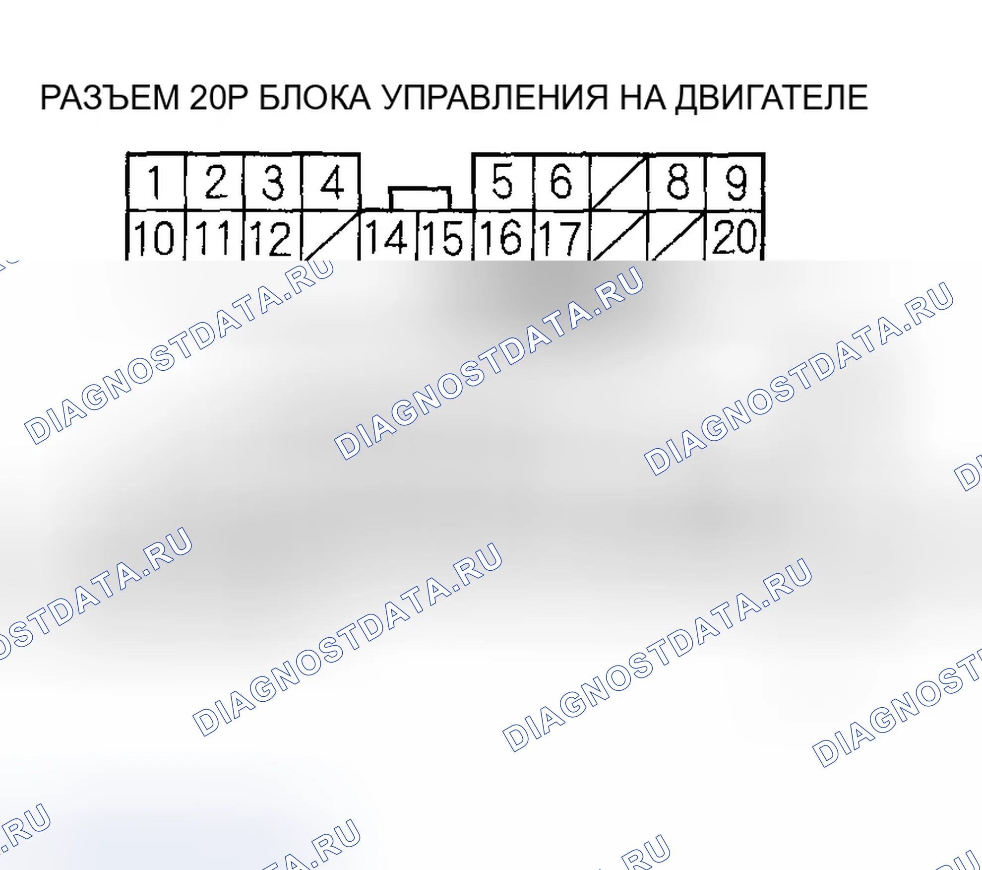 Рис. 594. Honda Accord VII рестайлинг