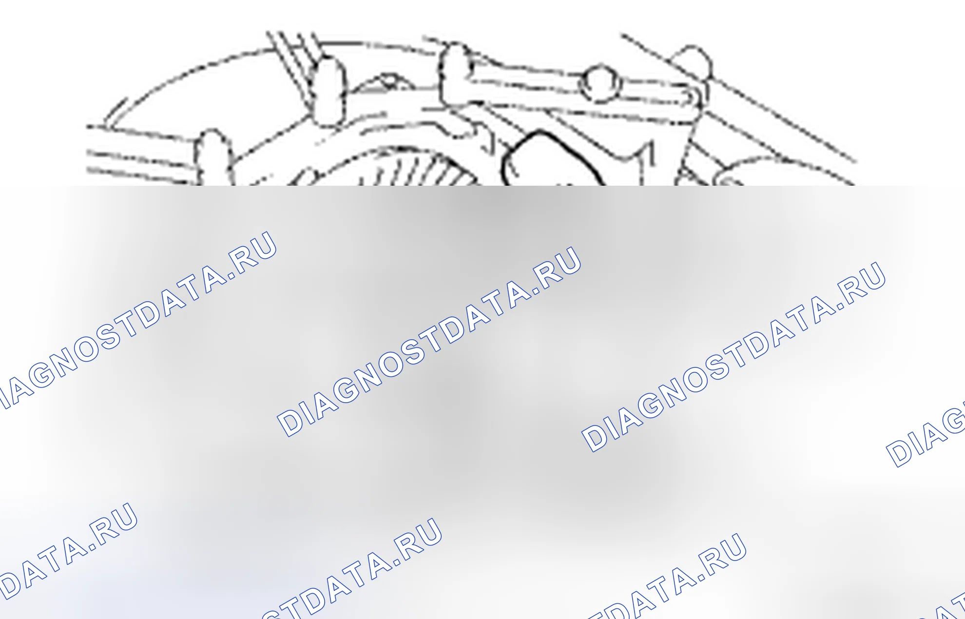 Рис. 25. Honda CR-V VI