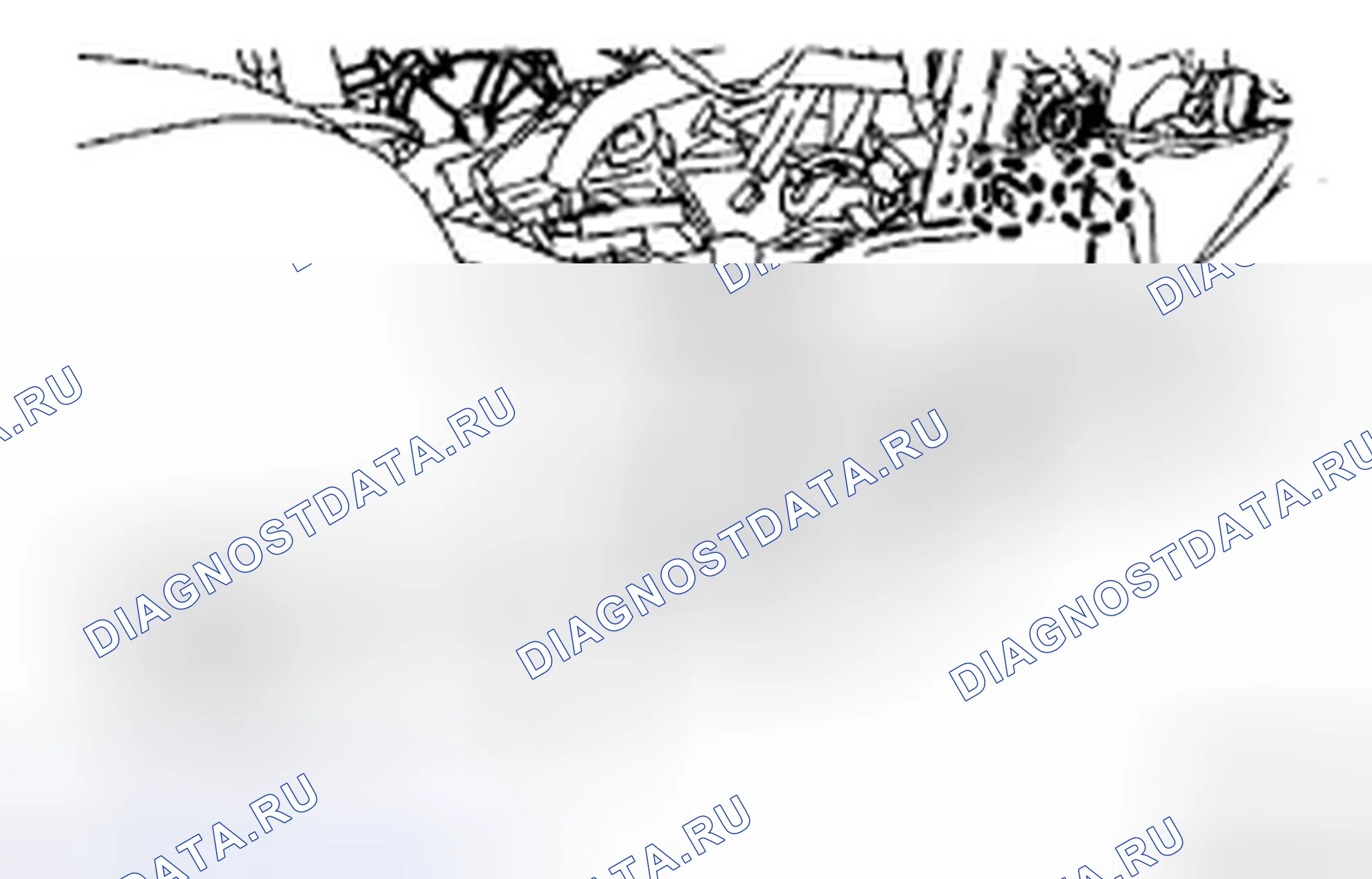 Рис. 135. Toyota Camry XV40