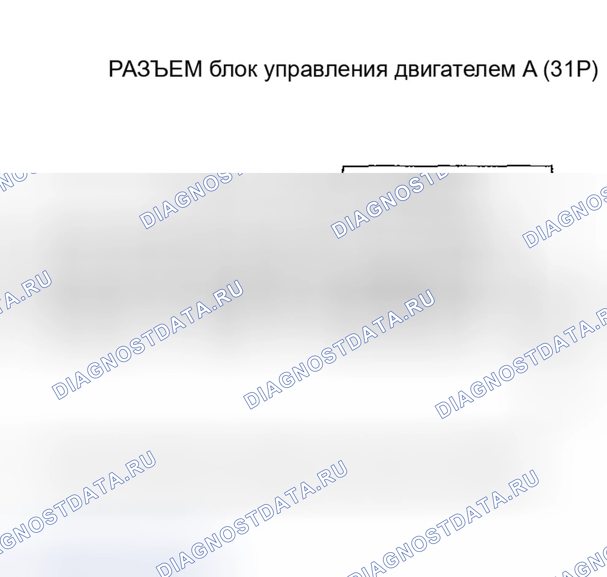 Рис. 592. Honda Civic VII рестайлинг