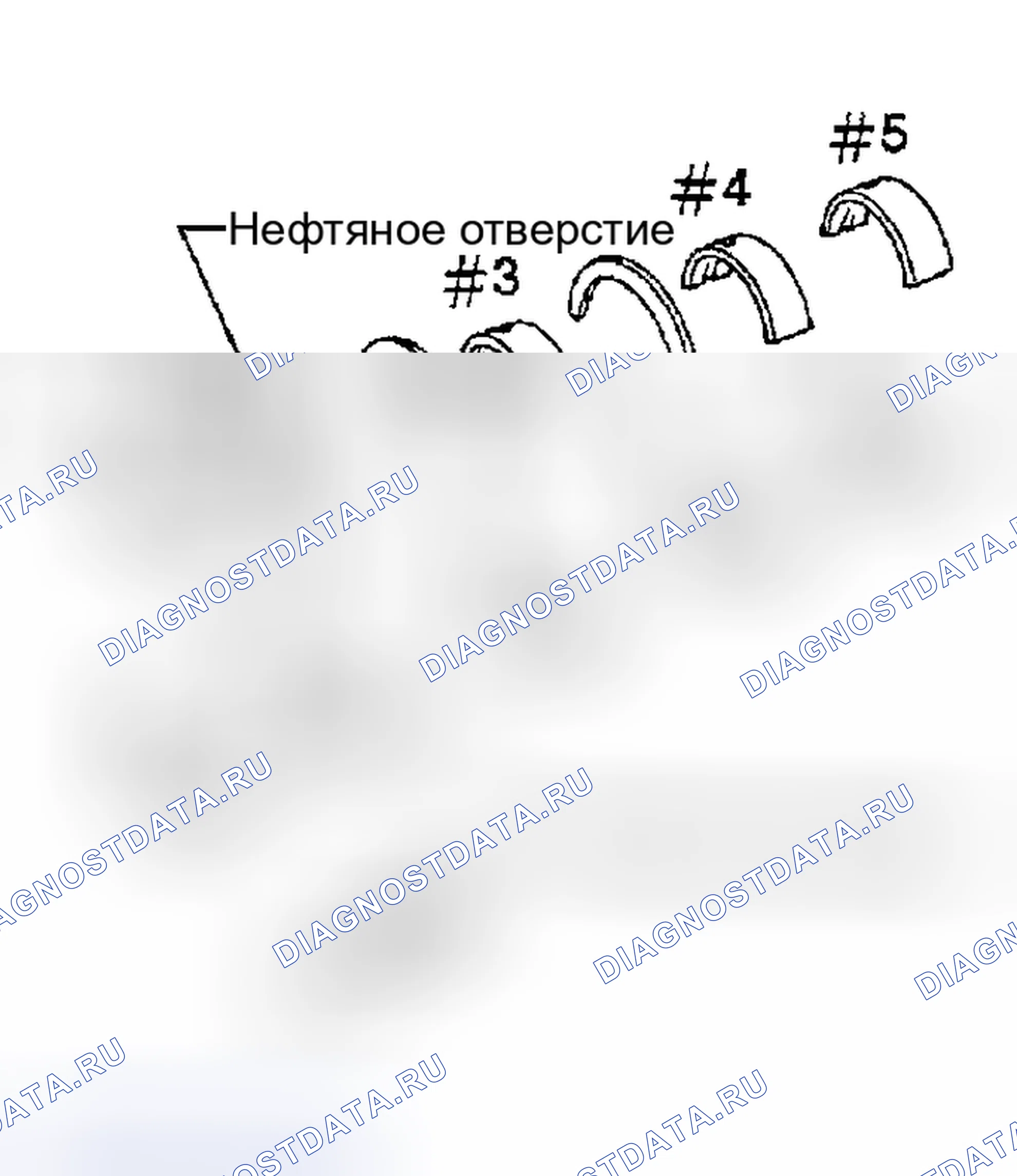 Рис. 474: Основной подшипник. Nissan Sentra B15