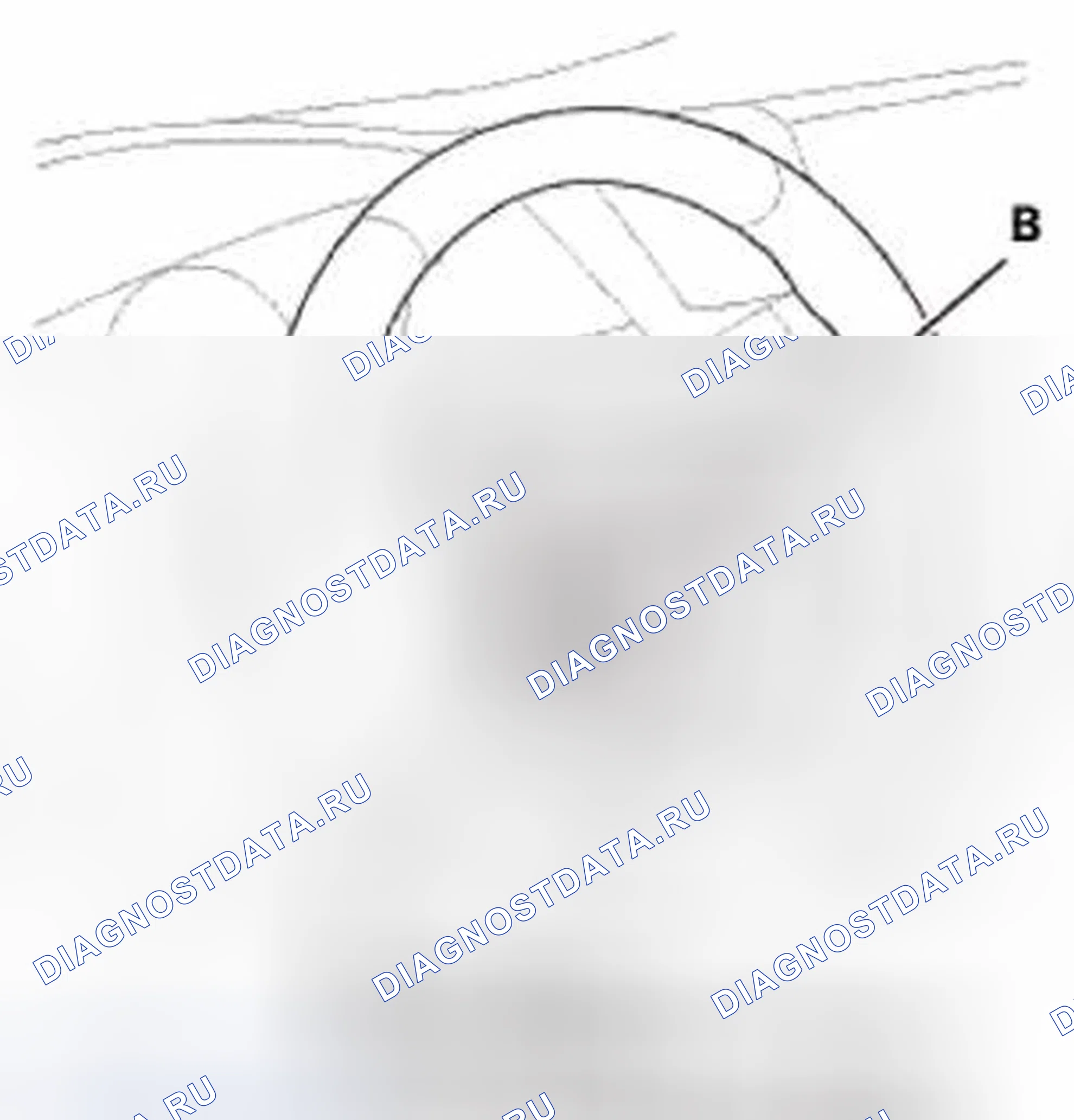 Рис. 249. Honda Civic IX