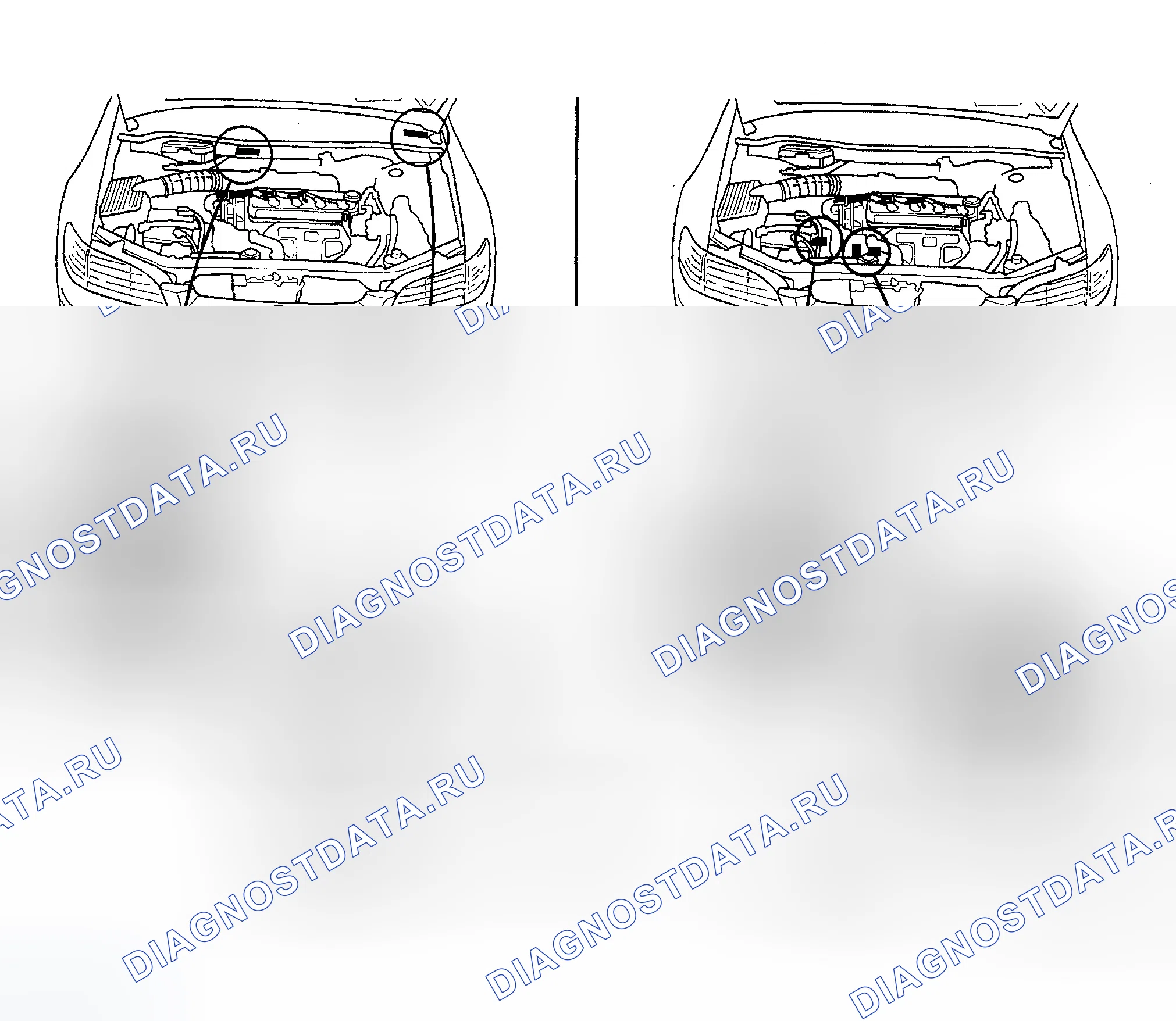 Рис. 6: Расположение идентификационных номеров. Honda Accord VI