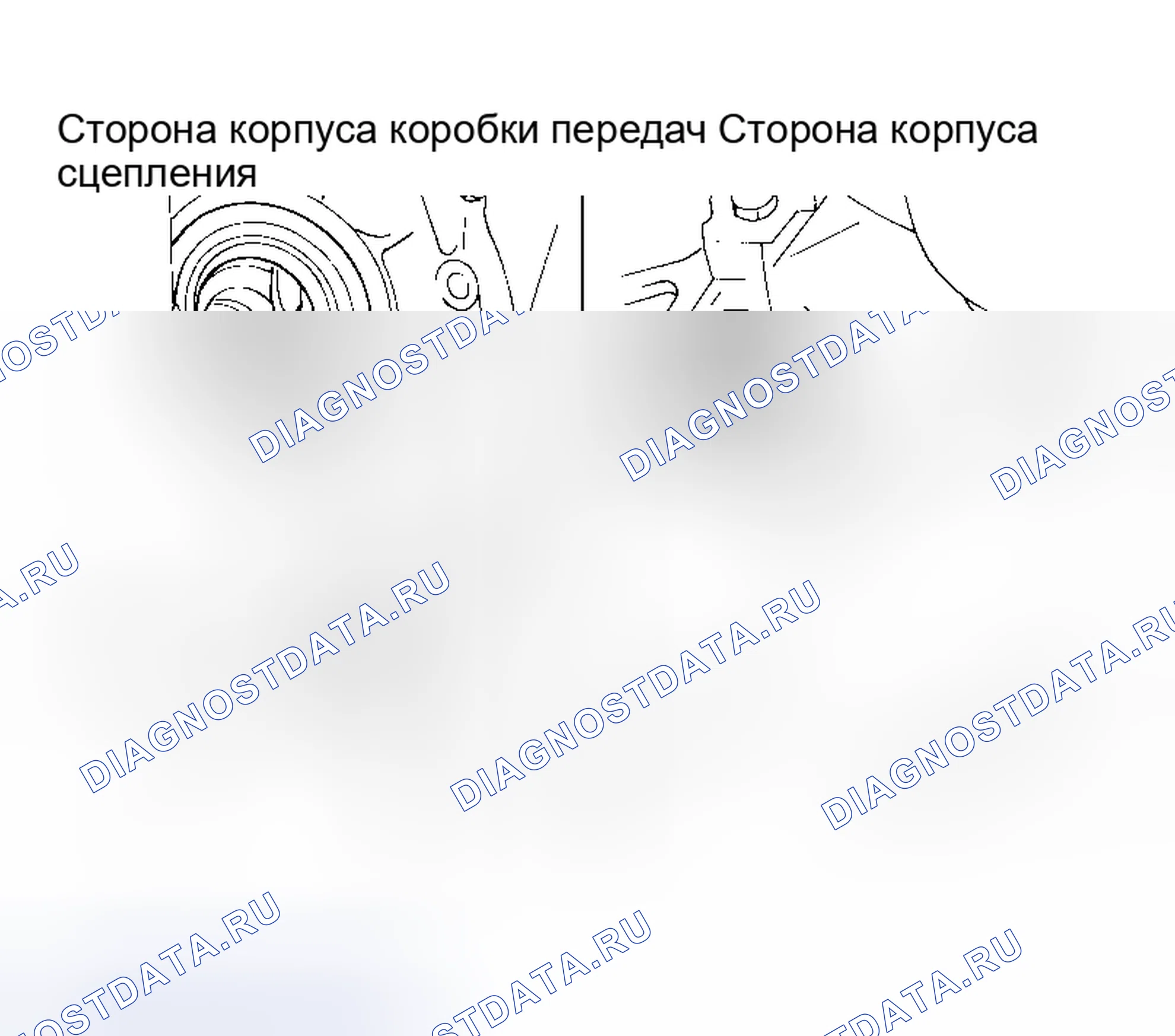 Рис. 129: Дифференциальное масляное уплотнение. Nissan Maxima A33