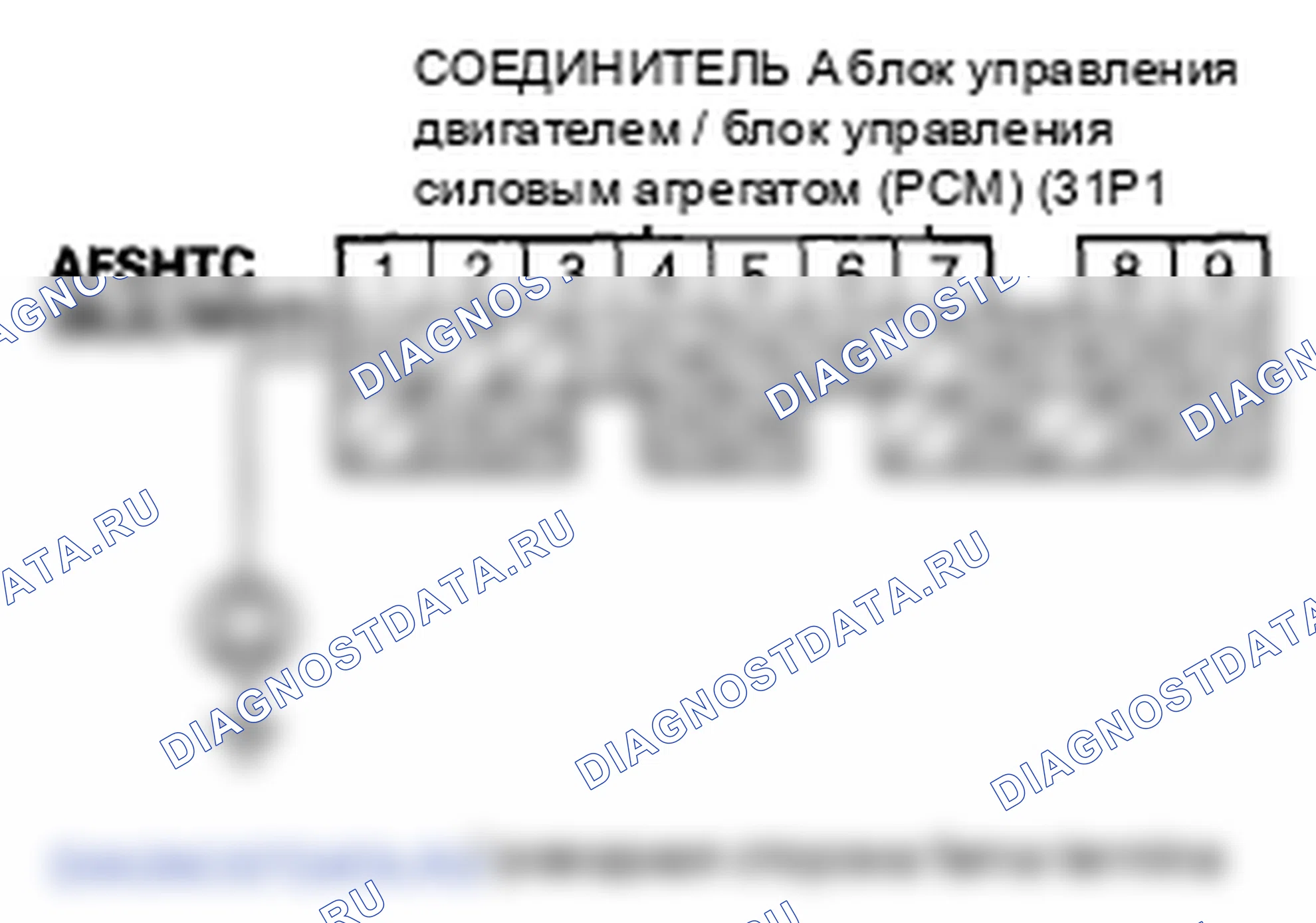 Рис. 389. Honda Element YH2 рестайлинг
