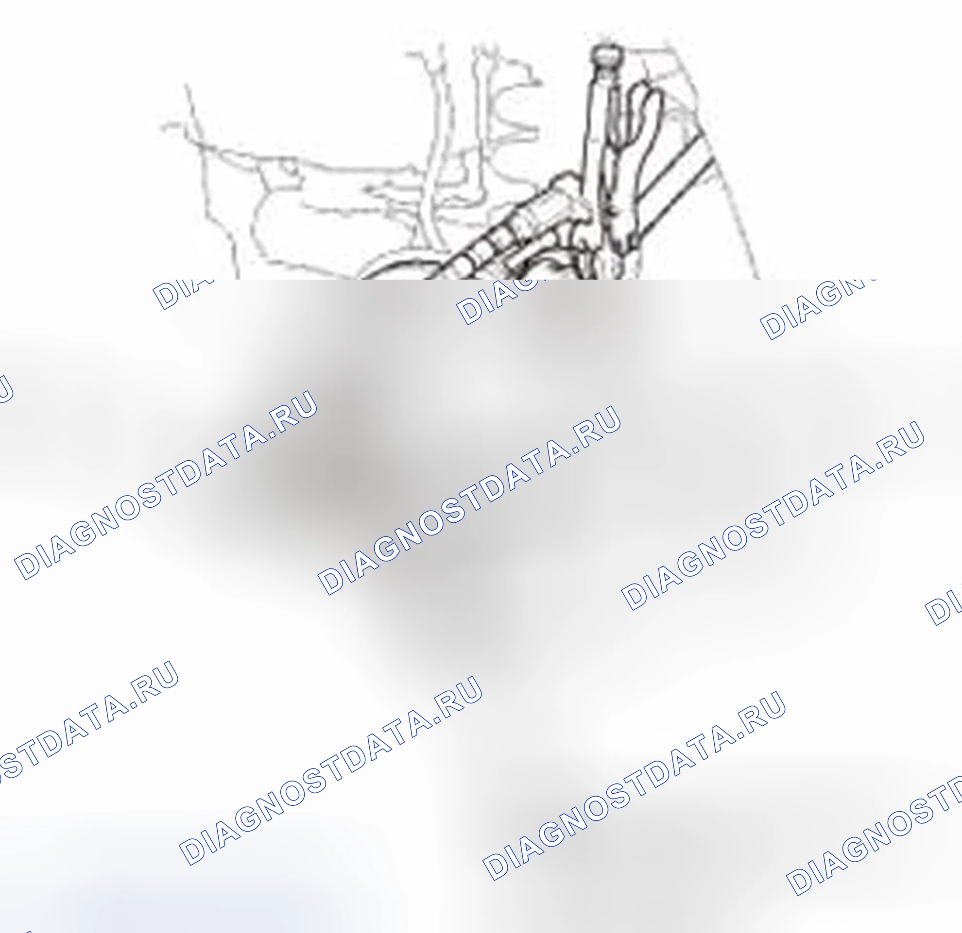 Рис. 209. Honda CR-V IV