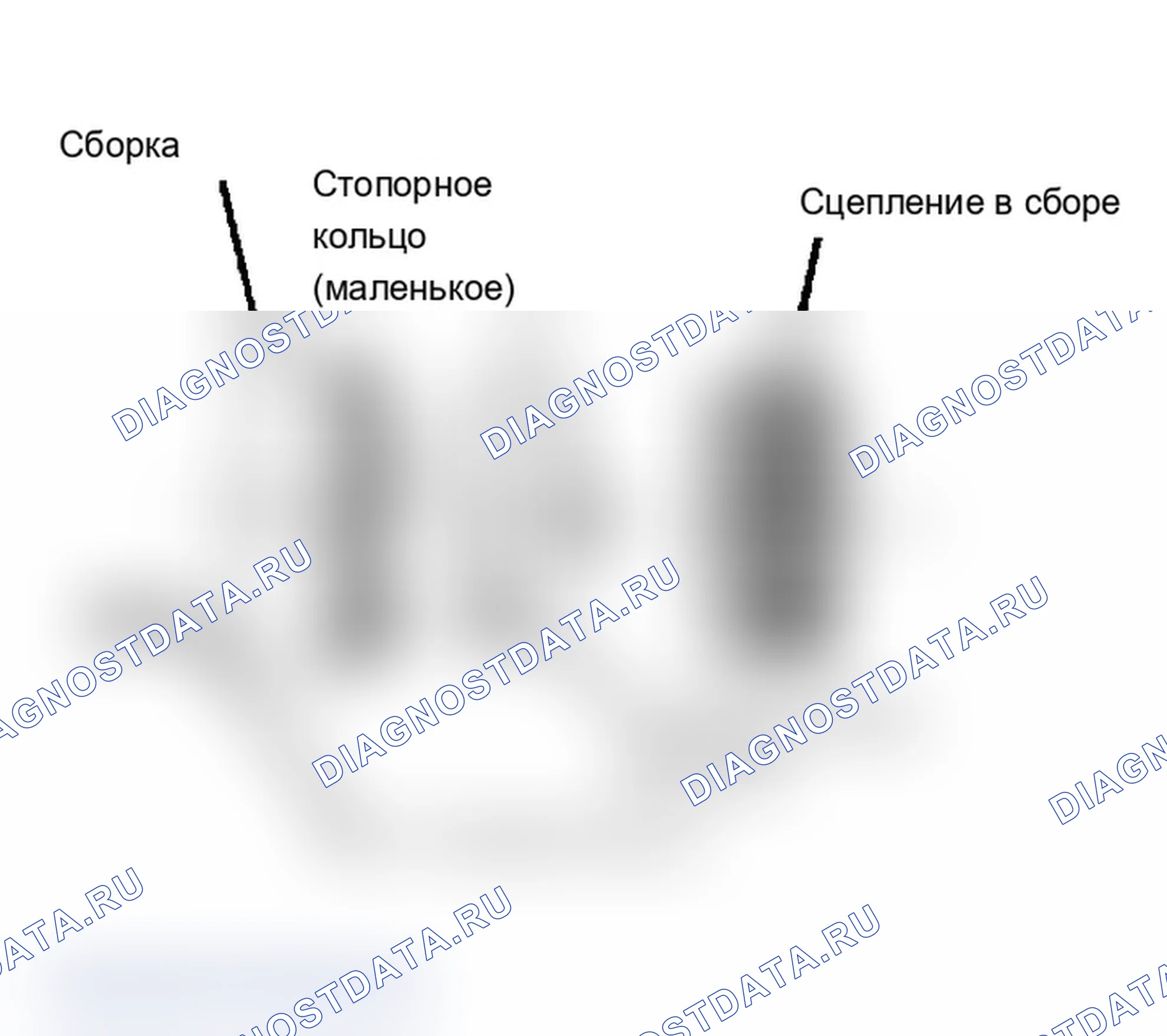 Рис. 5. Chevrolet Pickup R20 