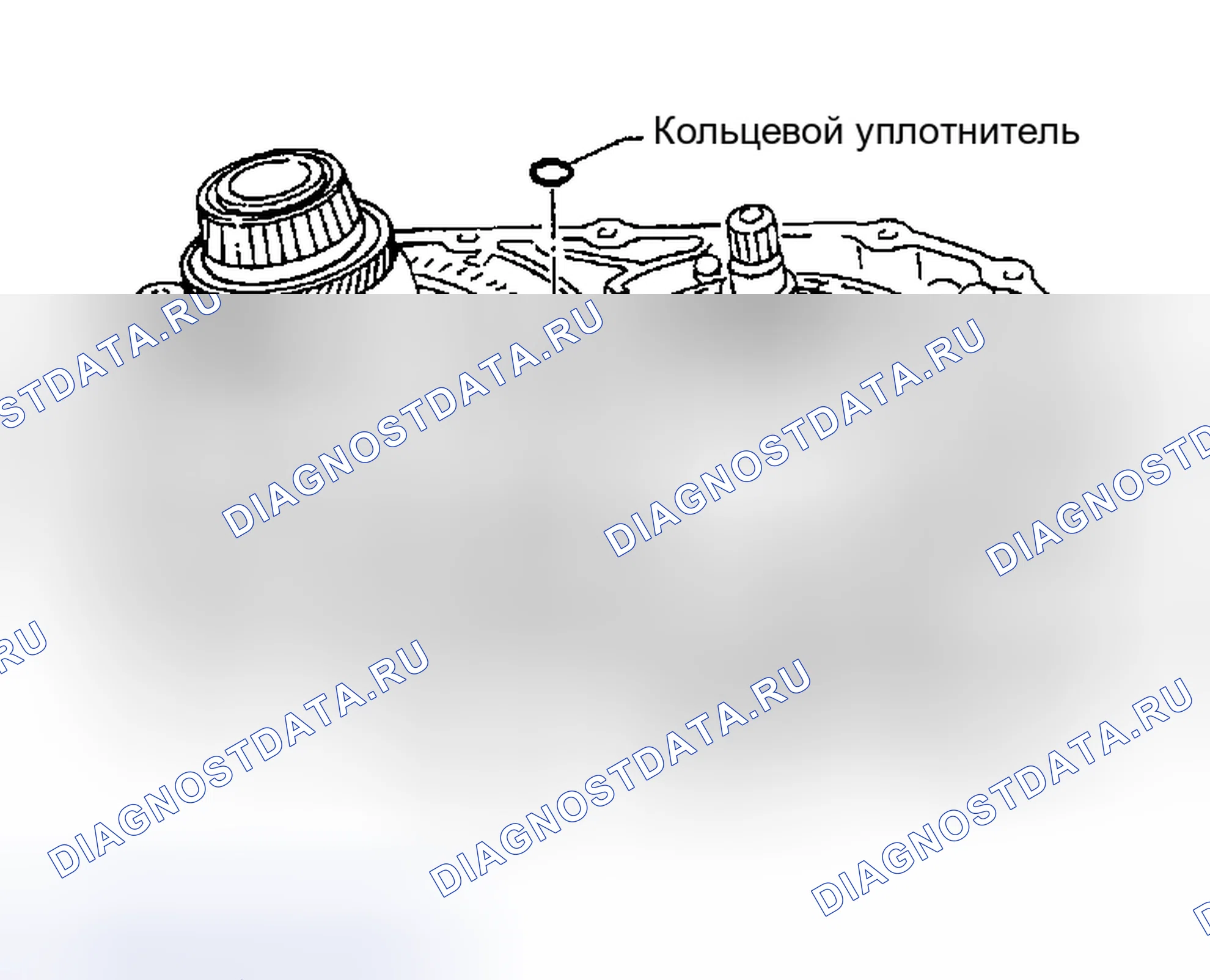 Рис. 245. Nissan Altima L31