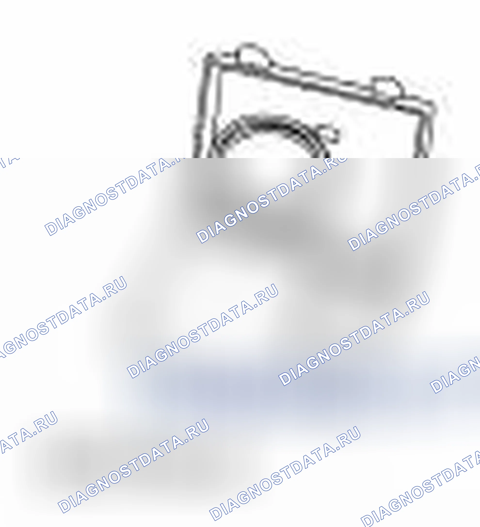 Рис. 55. Ford Focus II