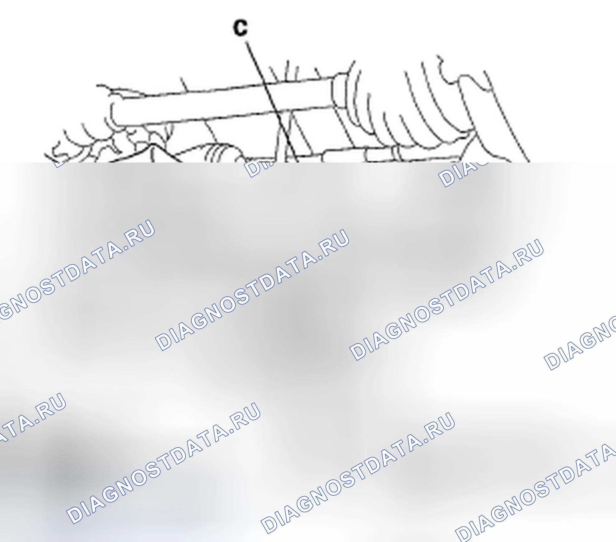 Рис. 18. Honda Ridgeline I рестайлинг