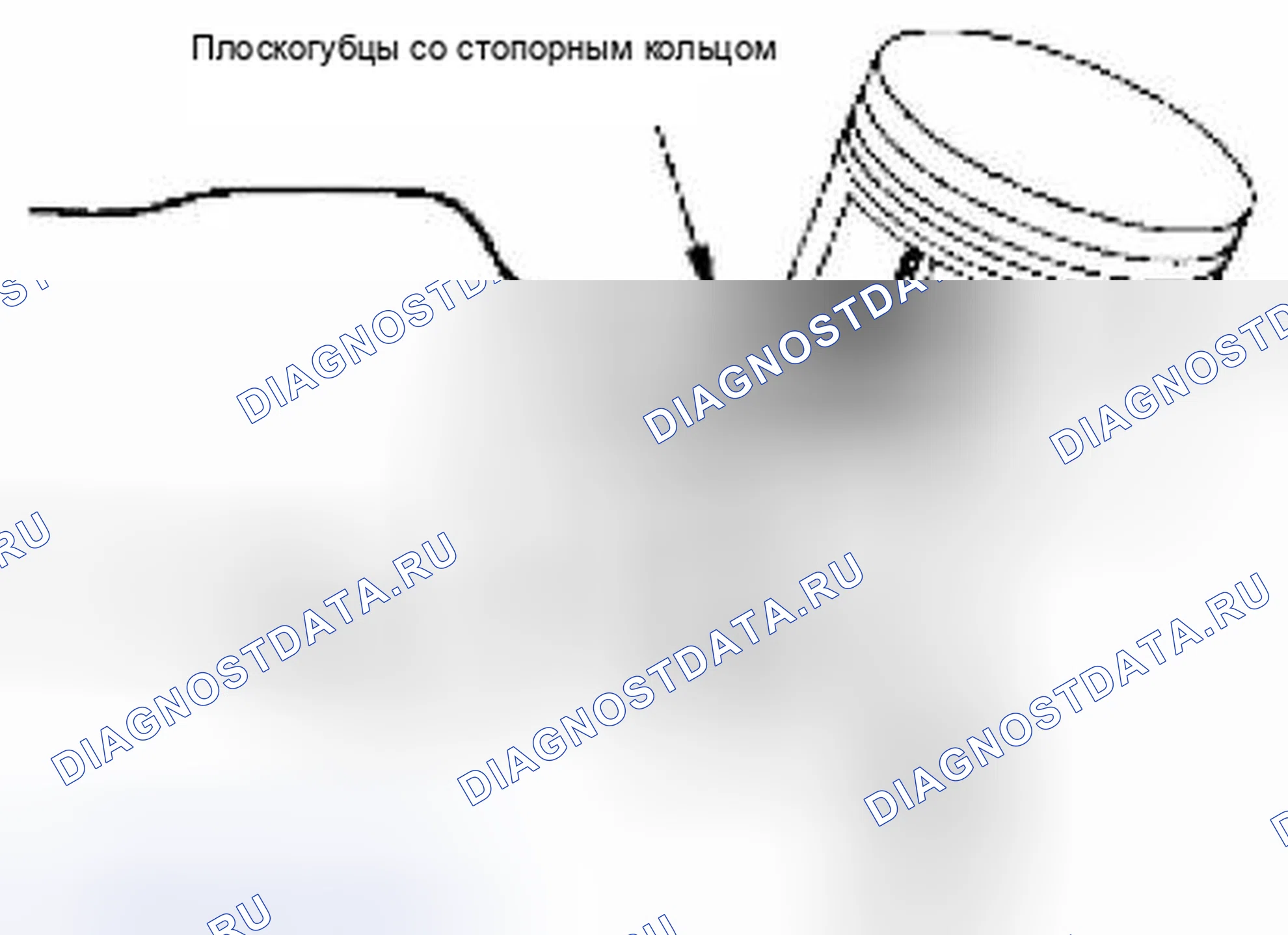 Рис. 354. Suzuki Equator I
