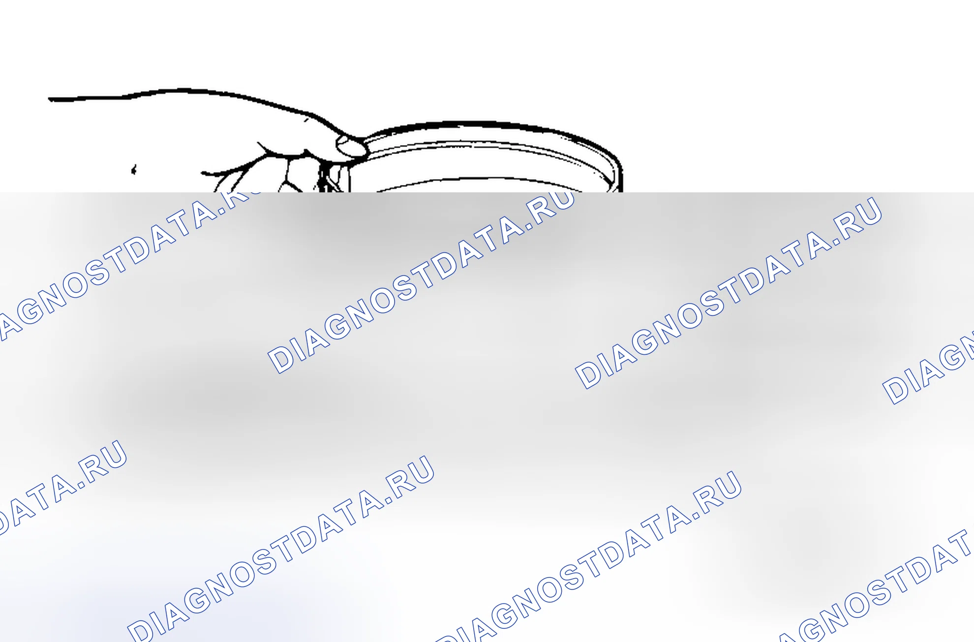 Рис. 598. Honda Freed+ I