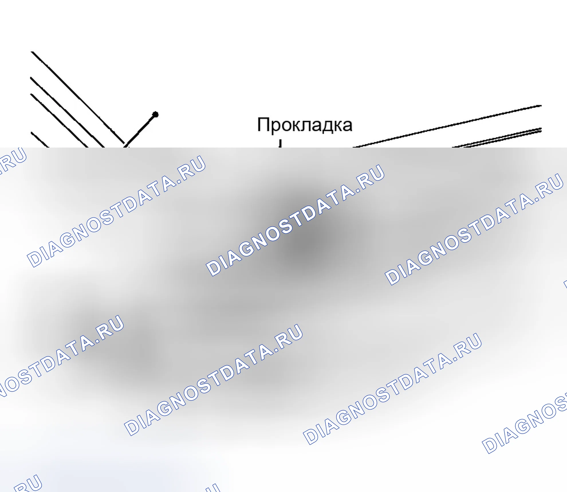 Рис. 2. Infiniti M45 II