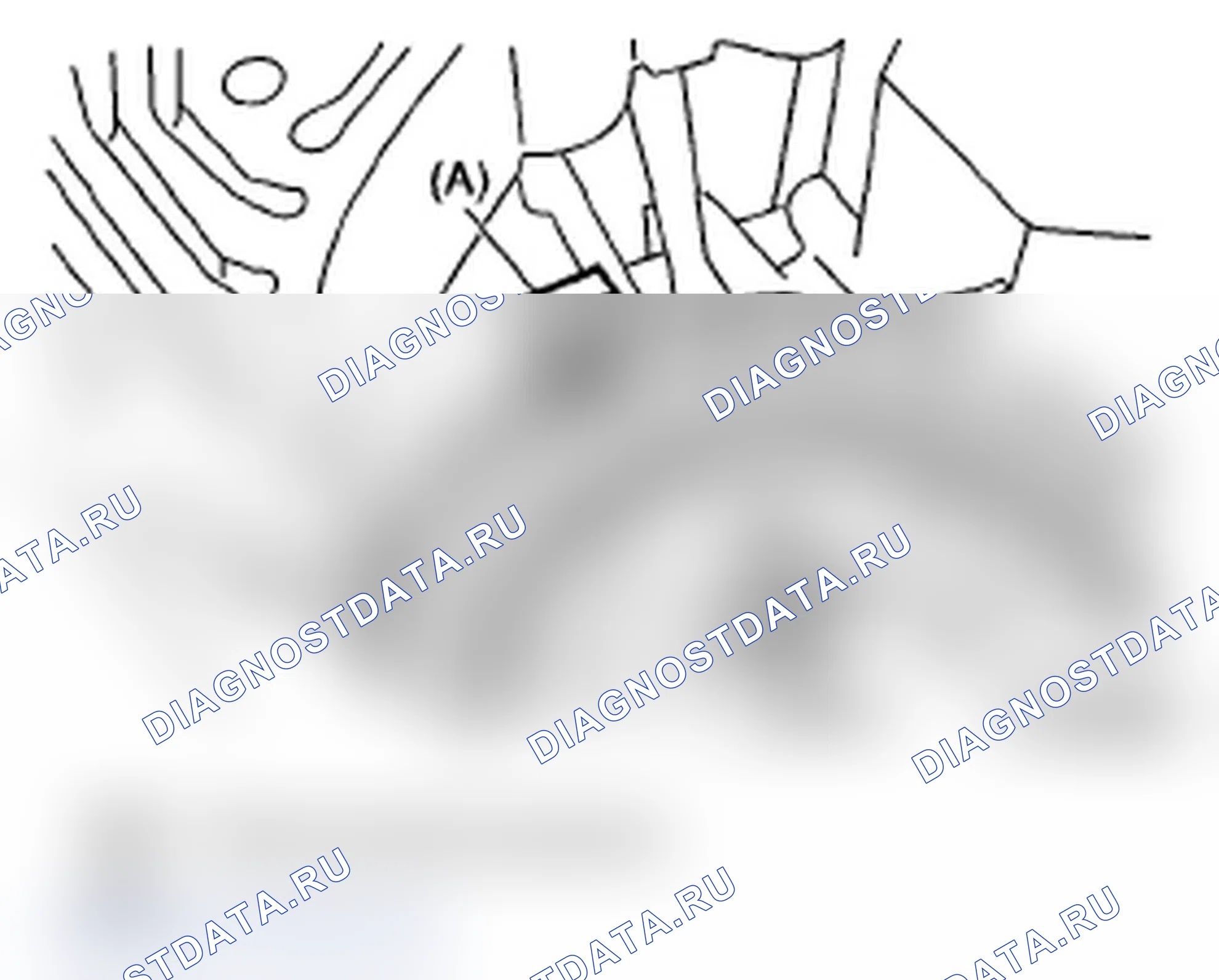Рис. 203. Subaru Impreza WRX GH