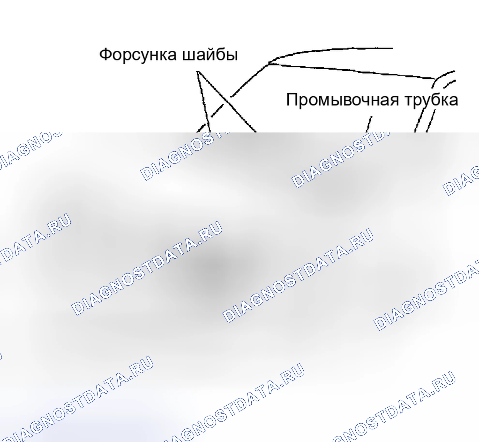 Рис. 4: СХЕМА РАСПОЛОЖЕНИЯ ТРУБОК ОМЫВАТЕЛЯ. Honda Odyssey (North America) I