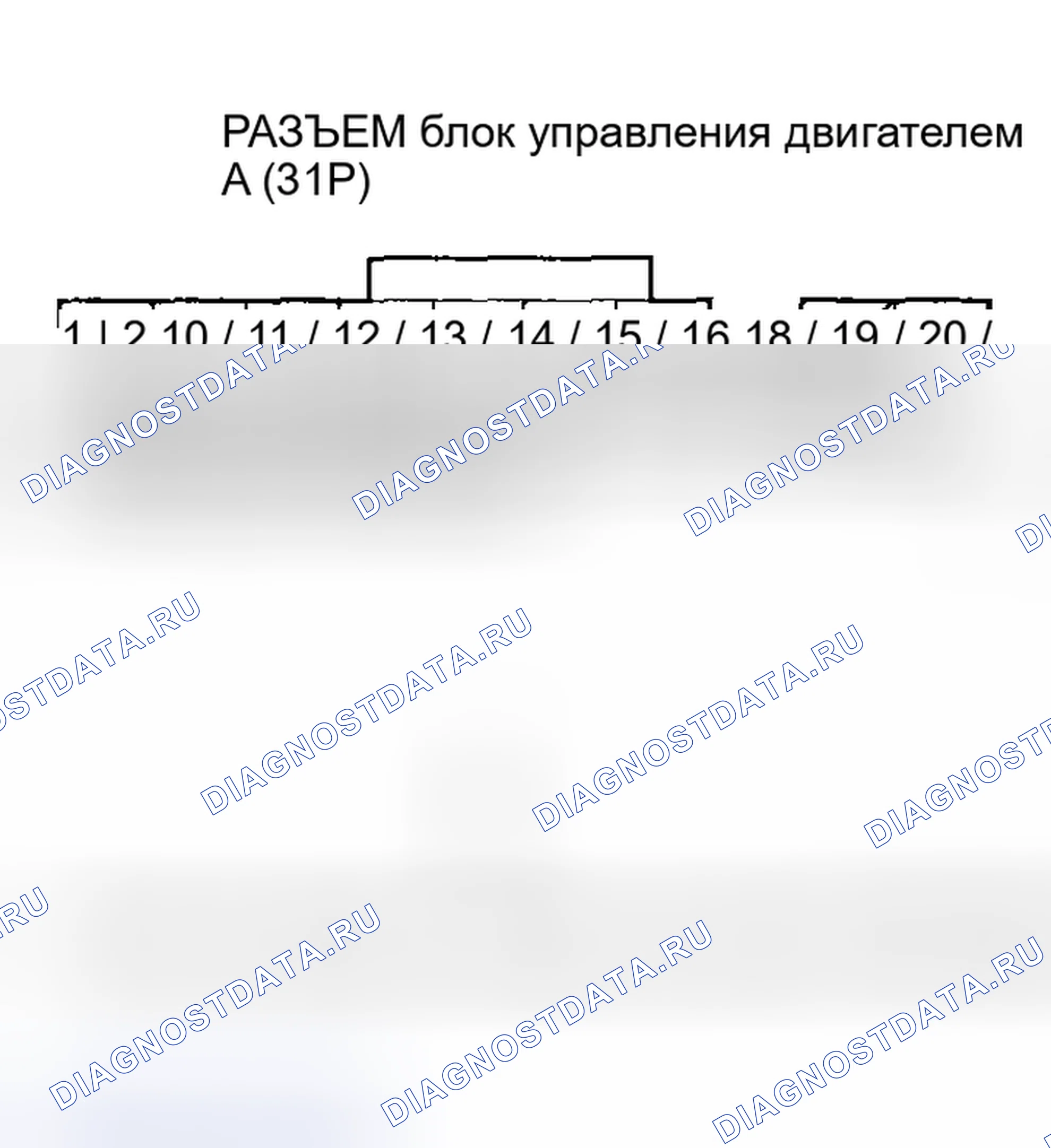 Рис. 506. Honda Civic VII рестайлинг