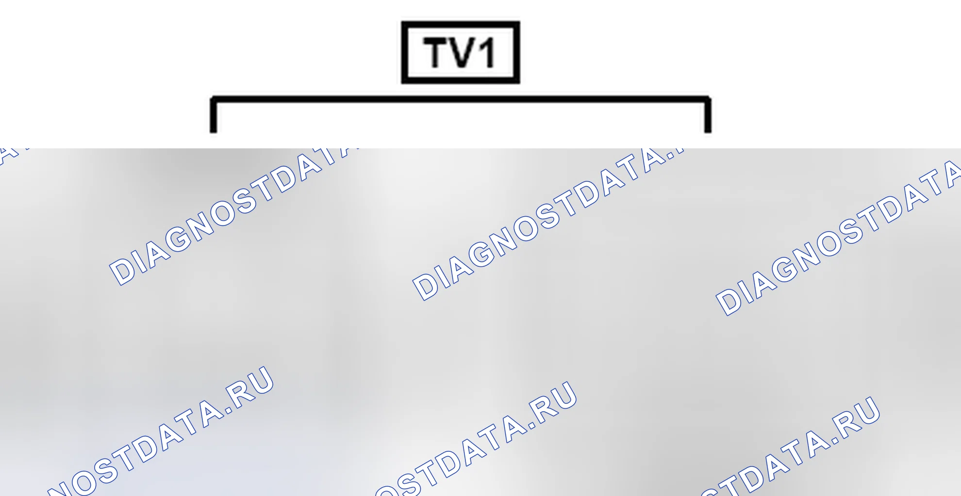 Рис. 811: Вид с торца разъема (TV1). Toyota Sienna III