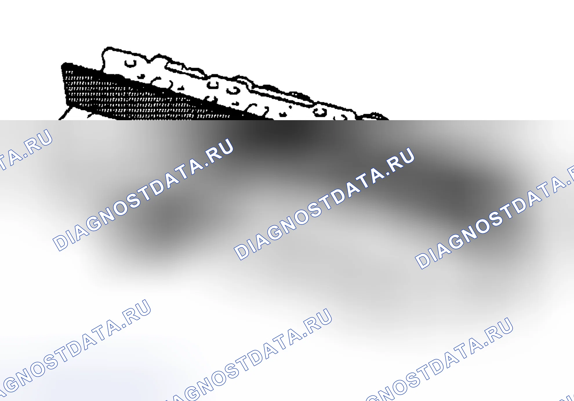 Рис. 313. Kia Ceed CD