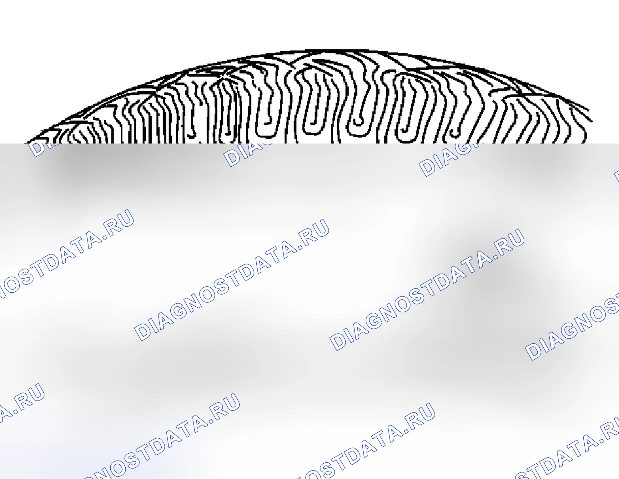 Рис. 21: Проверка шин и колес. Kia Ceed CD