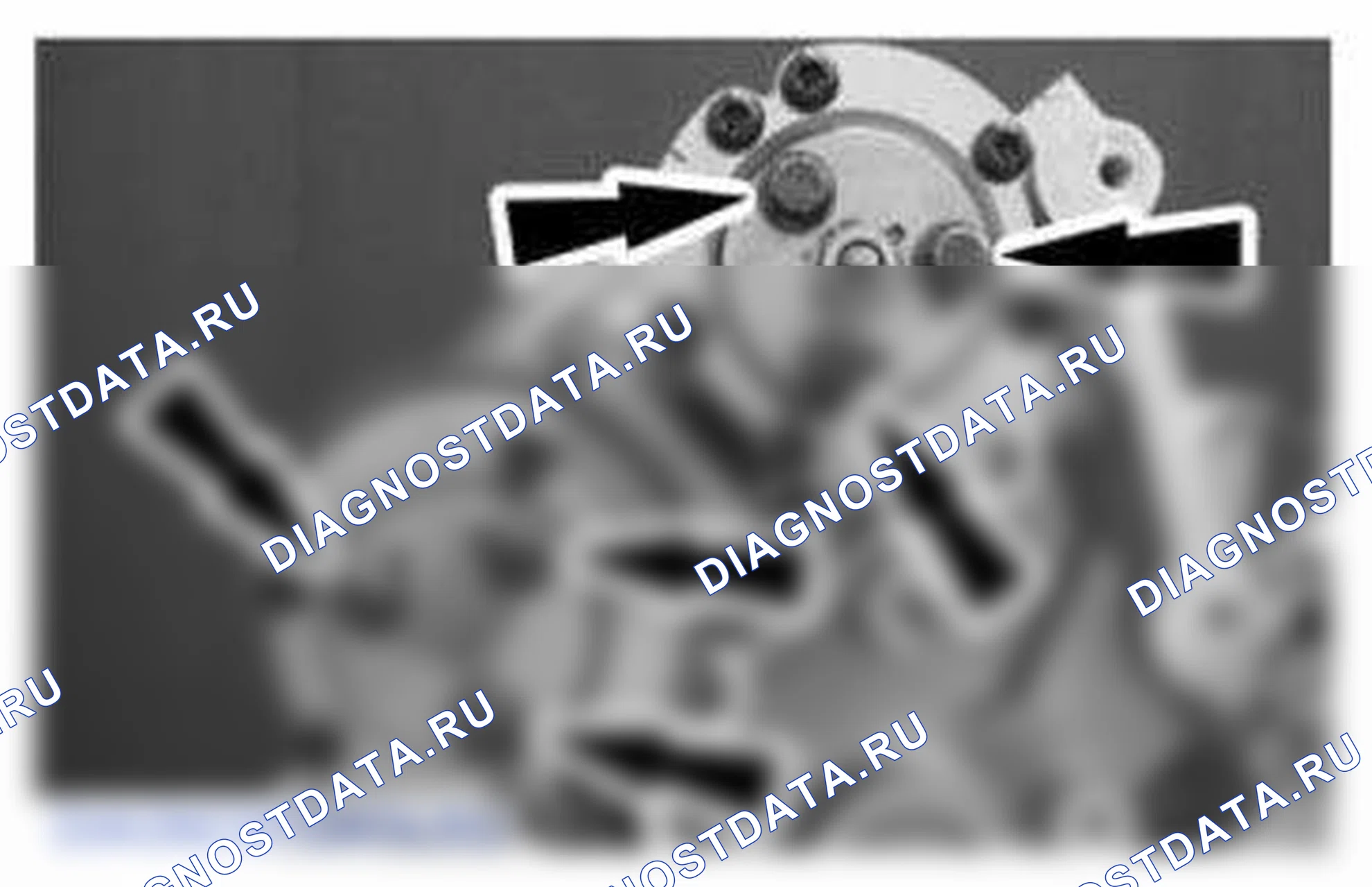 Рис. 1144. Ford Mustang V рестайлинг