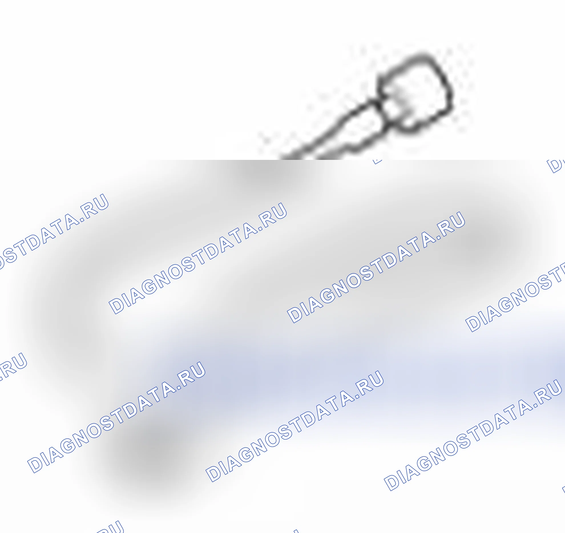 Рис. 60. Geely Panda I