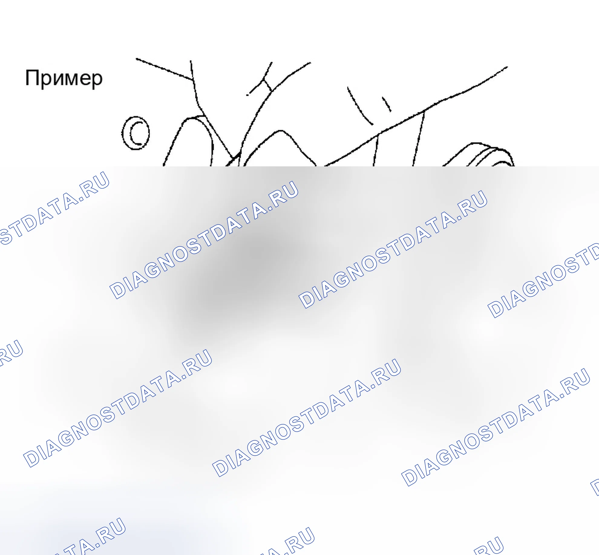 Рис. 367: Способ использования Plastigage. Infiniti FX35 I