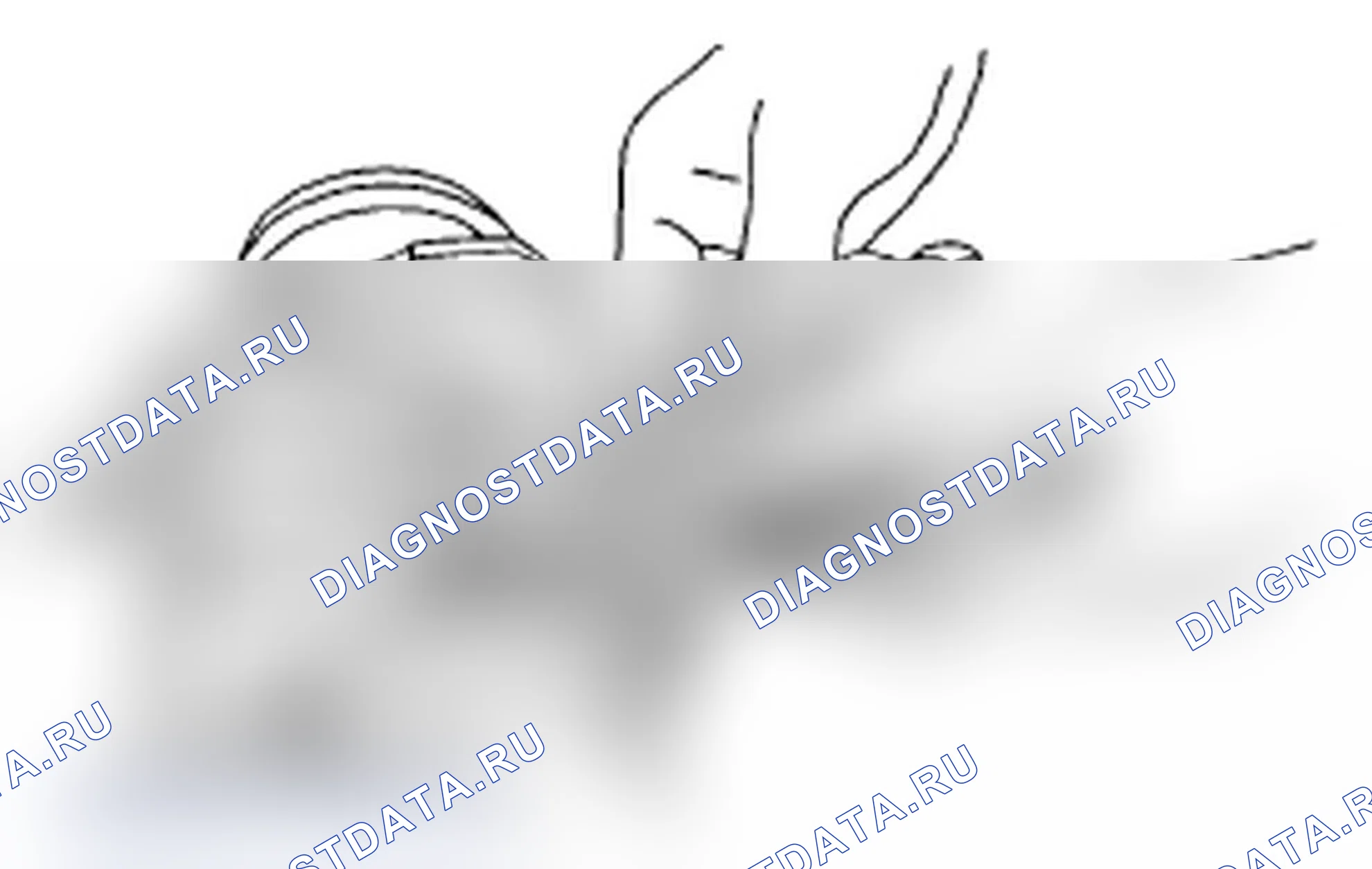 Рис. 461. Subaru Impreza WRX GD/GG рестайлинг 2