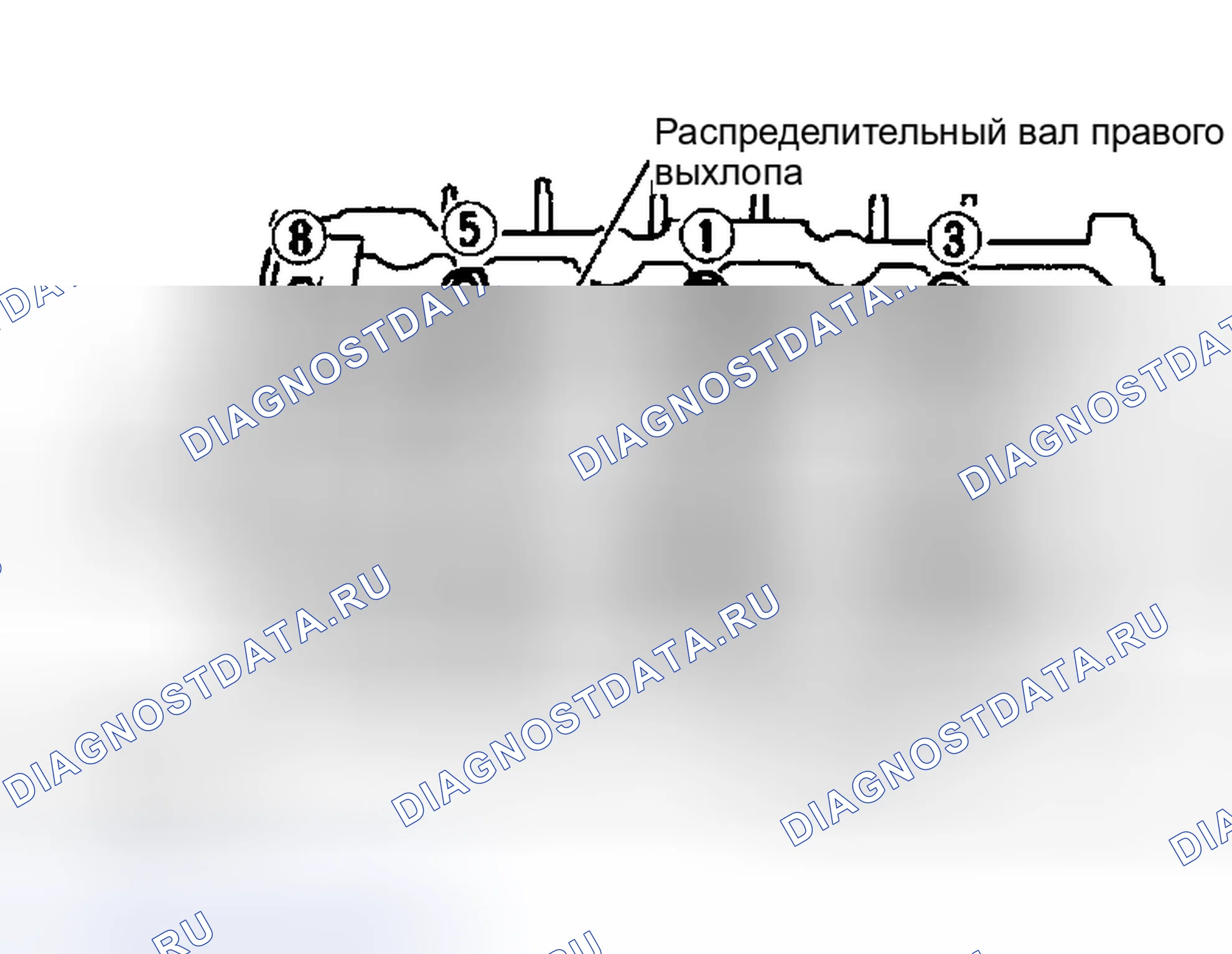 Рис. 448. Nissan Altima L31