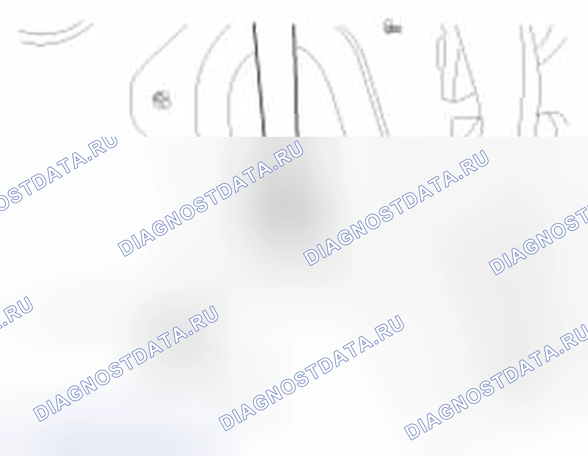 Рис. 25. Haval Beast (Shenshou) I