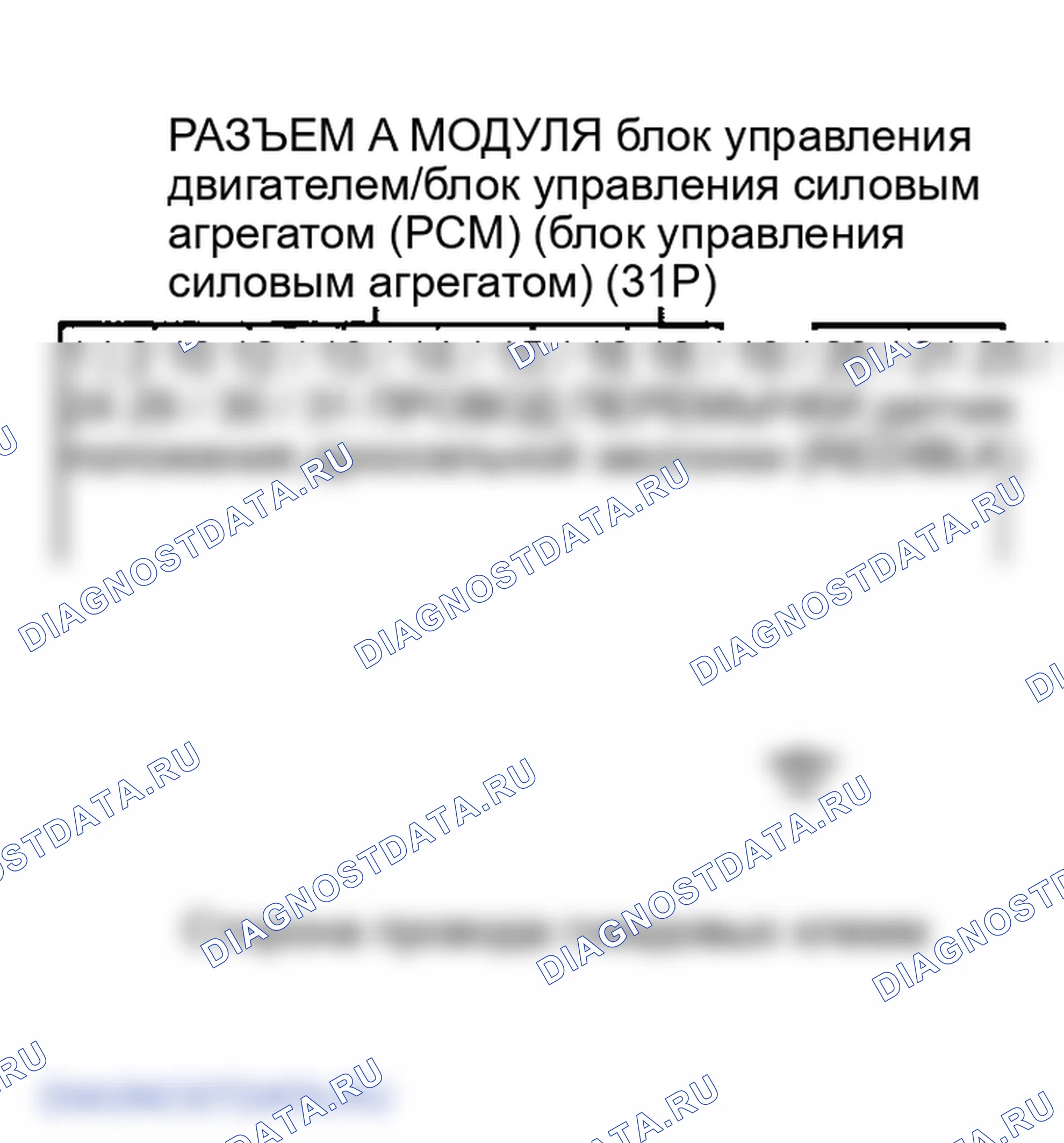 Рис. 86. Honda Element YH2