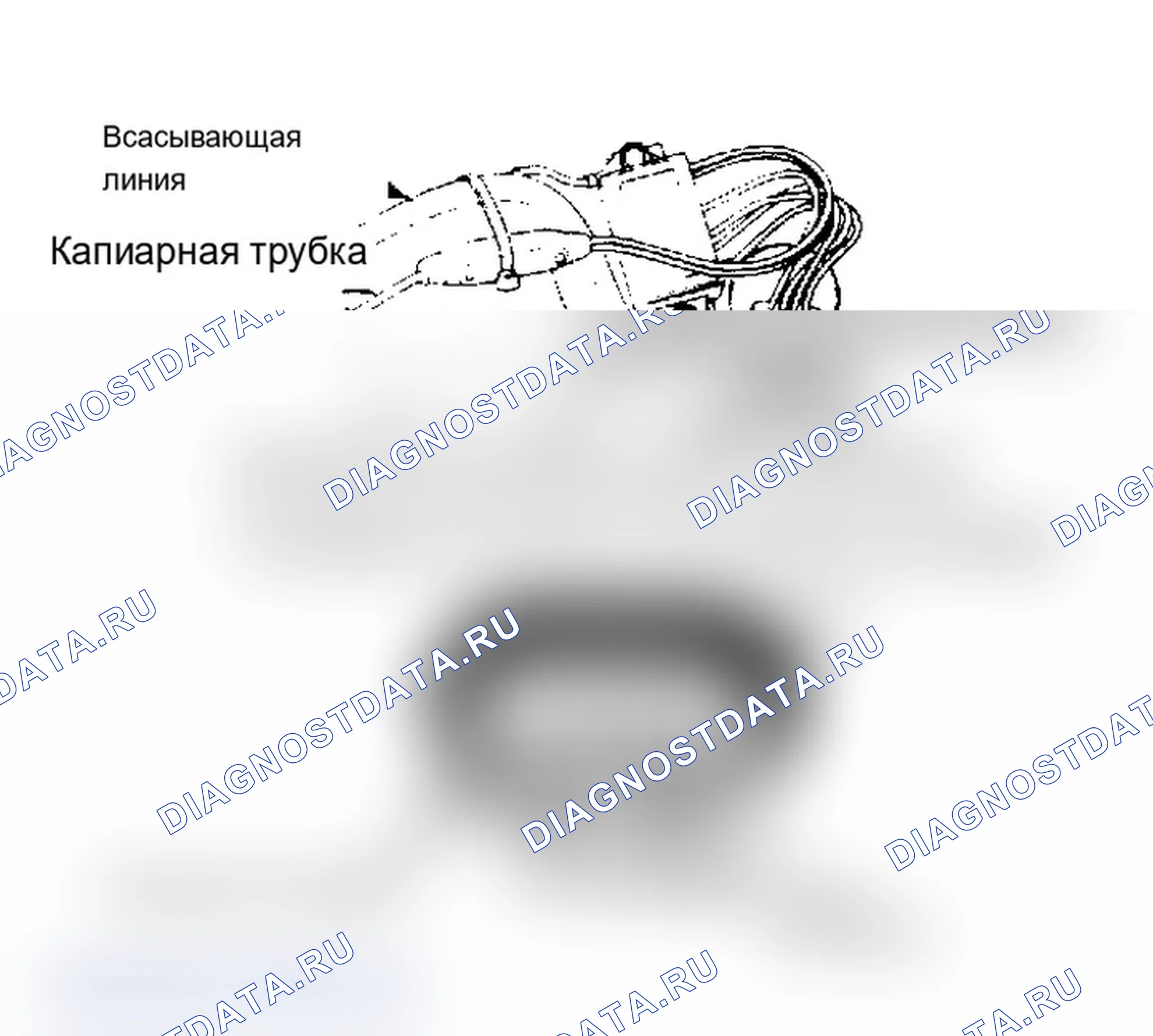 Рис. 4. Dodge Dakota Shelby 